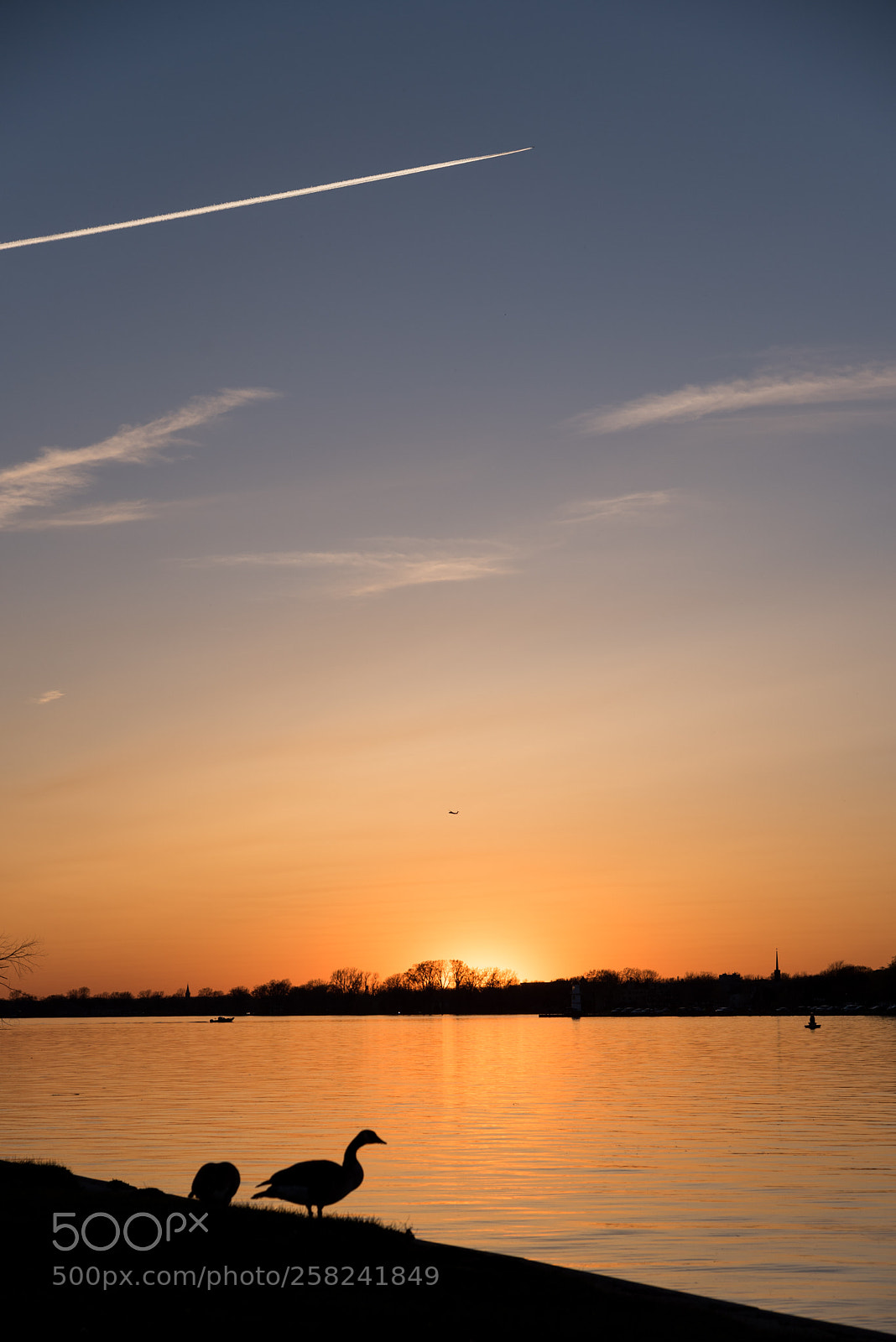 Nikon D750 sample photo. Buzzydusk photography