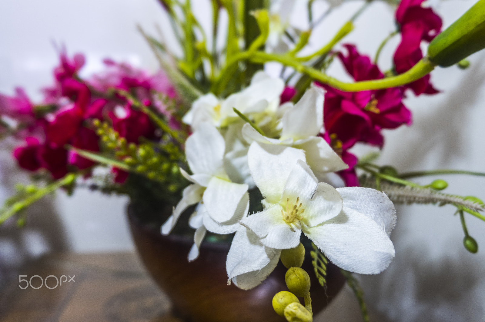 Fujifilm X-A10 sample photo. Flower photography