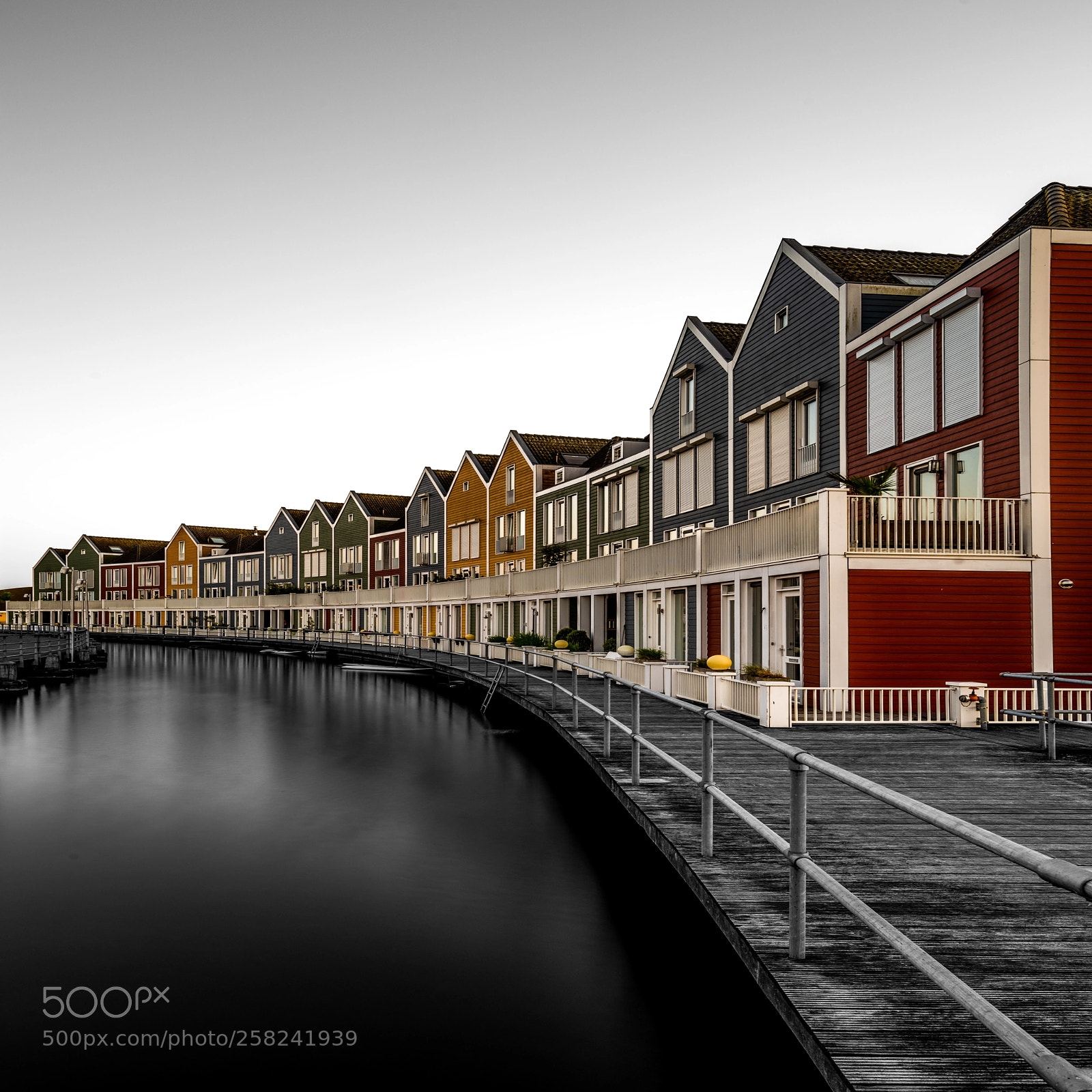 Nikon D810 sample photo. Holland face photography