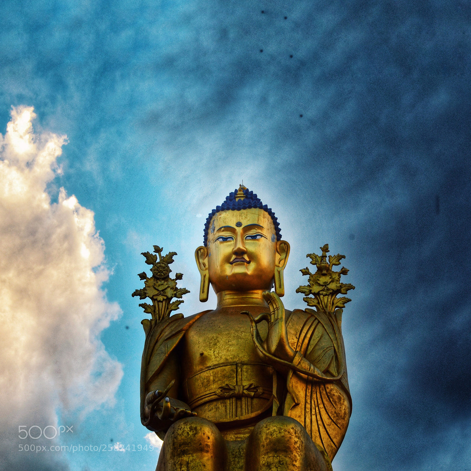 Nikon D5100 sample photo. Fullsizerender photography