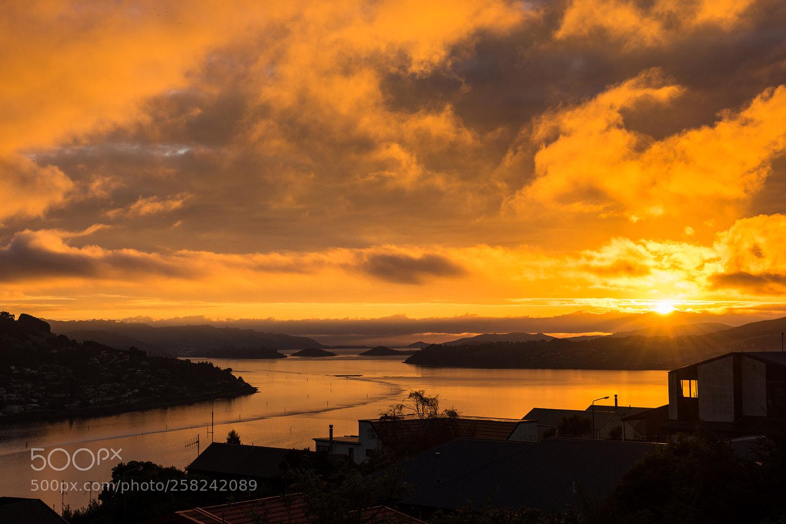 Nikon D810 sample photo. Kitchen sunrise view photography