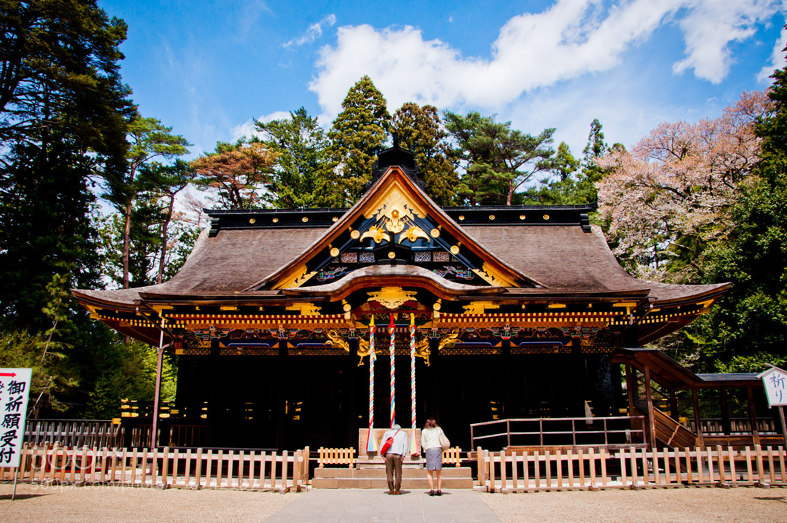 Nikon D90 sample photo. Oosaki  hachimangu shrine photography