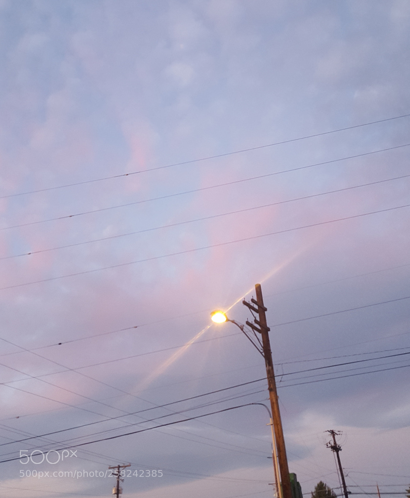 Samsung Galaxy S6 sample photo. Untitled photography