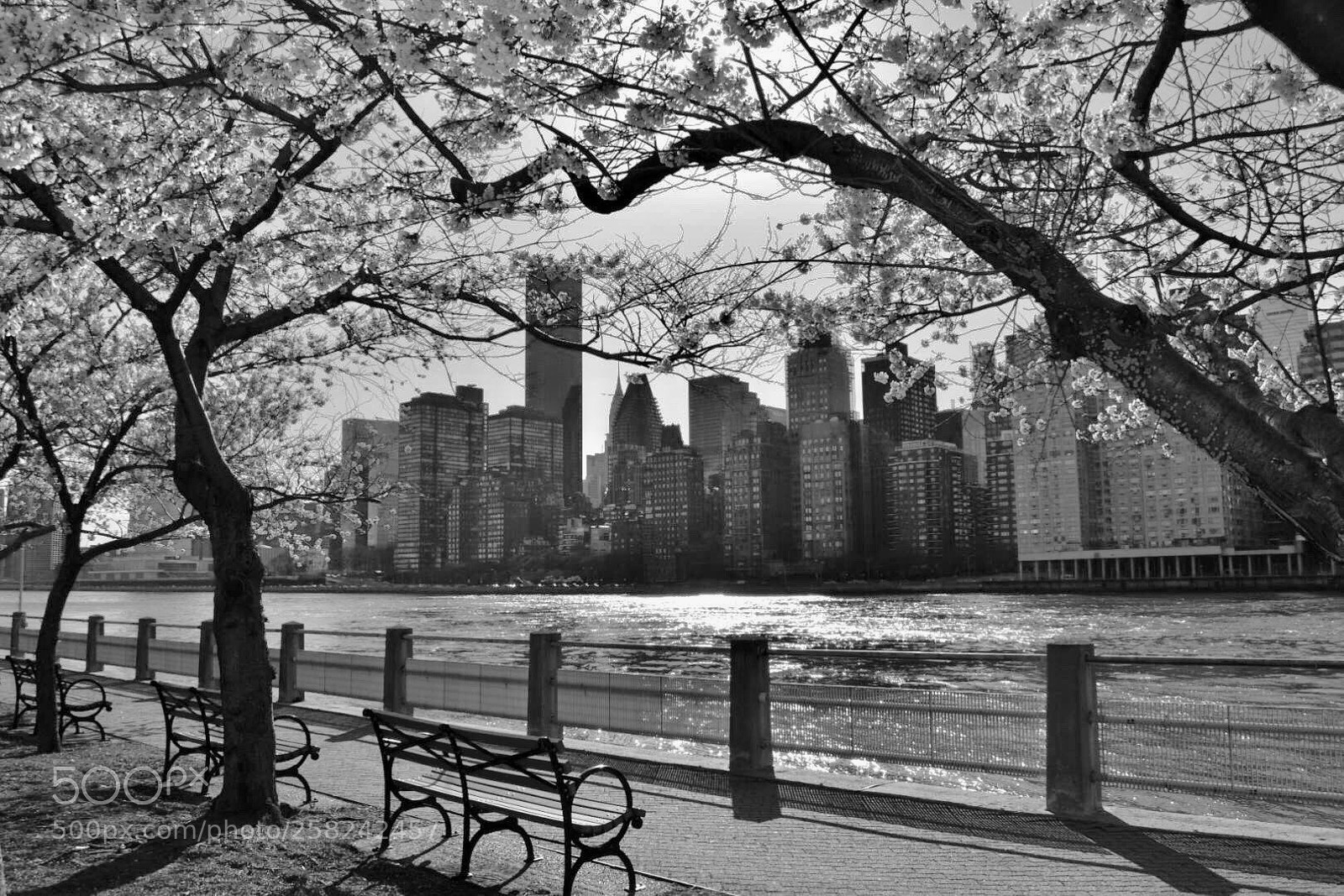 Nikon D5300 sample photo. Nyc - escape on photography