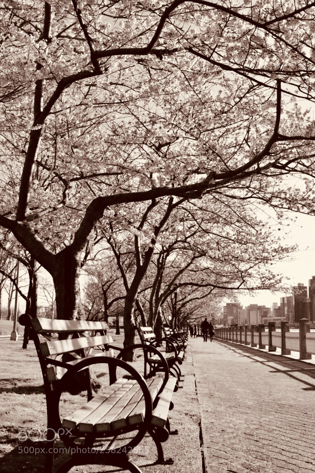 Nikon D5300 sample photo. Nyc - romantic ballade photography