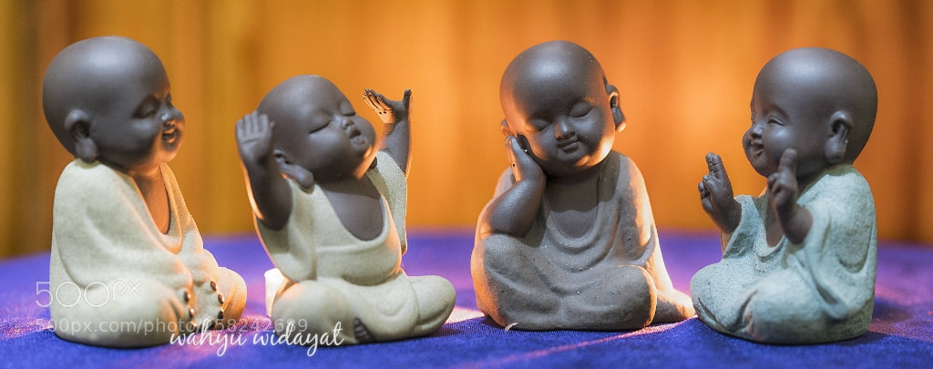 Sony a7R II sample photo. Dont be sad photography