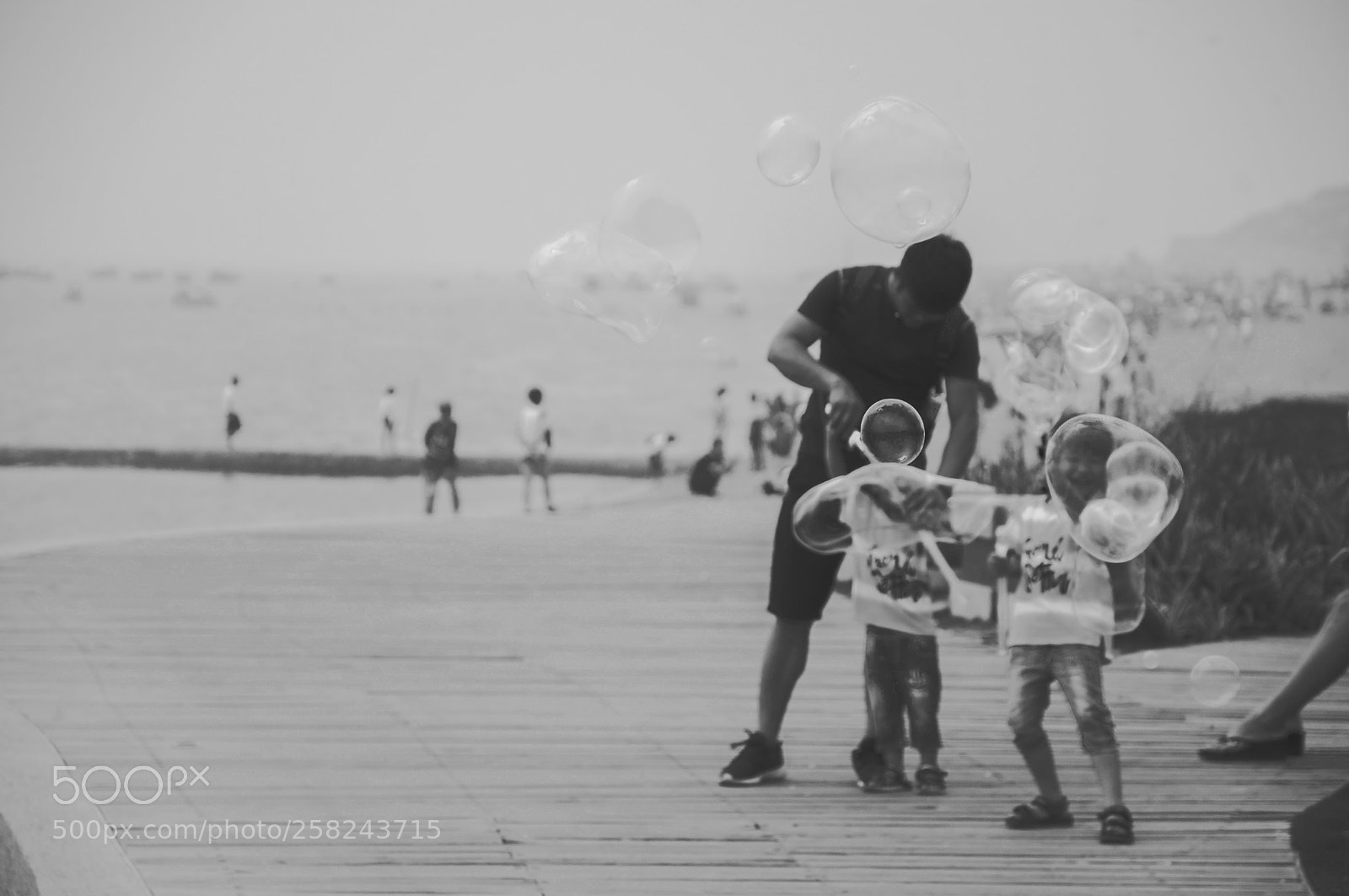 Nikon D90 sample photo. Untitled photography