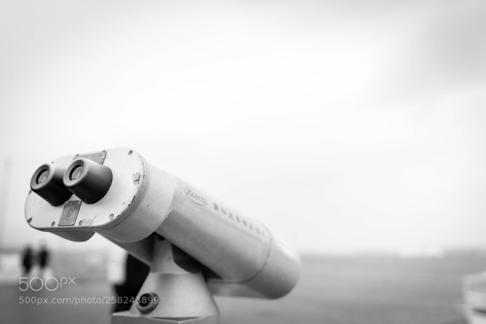 Sony a7R II sample photo. Ōsanbashi pier, yokohama photography