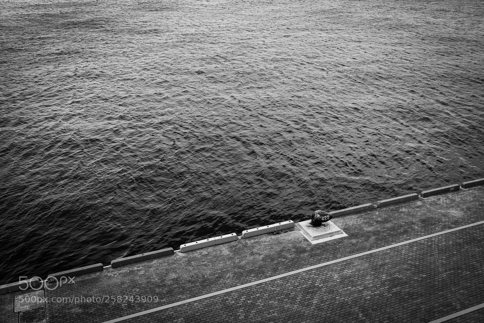 Sony a7R II sample photo. Ōsanbashi pier, yokohama photography