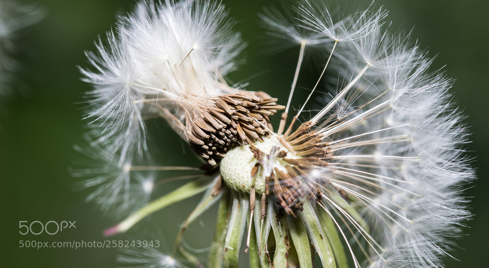Canon EOS 6D Mark II sample photo. Destroyed photography