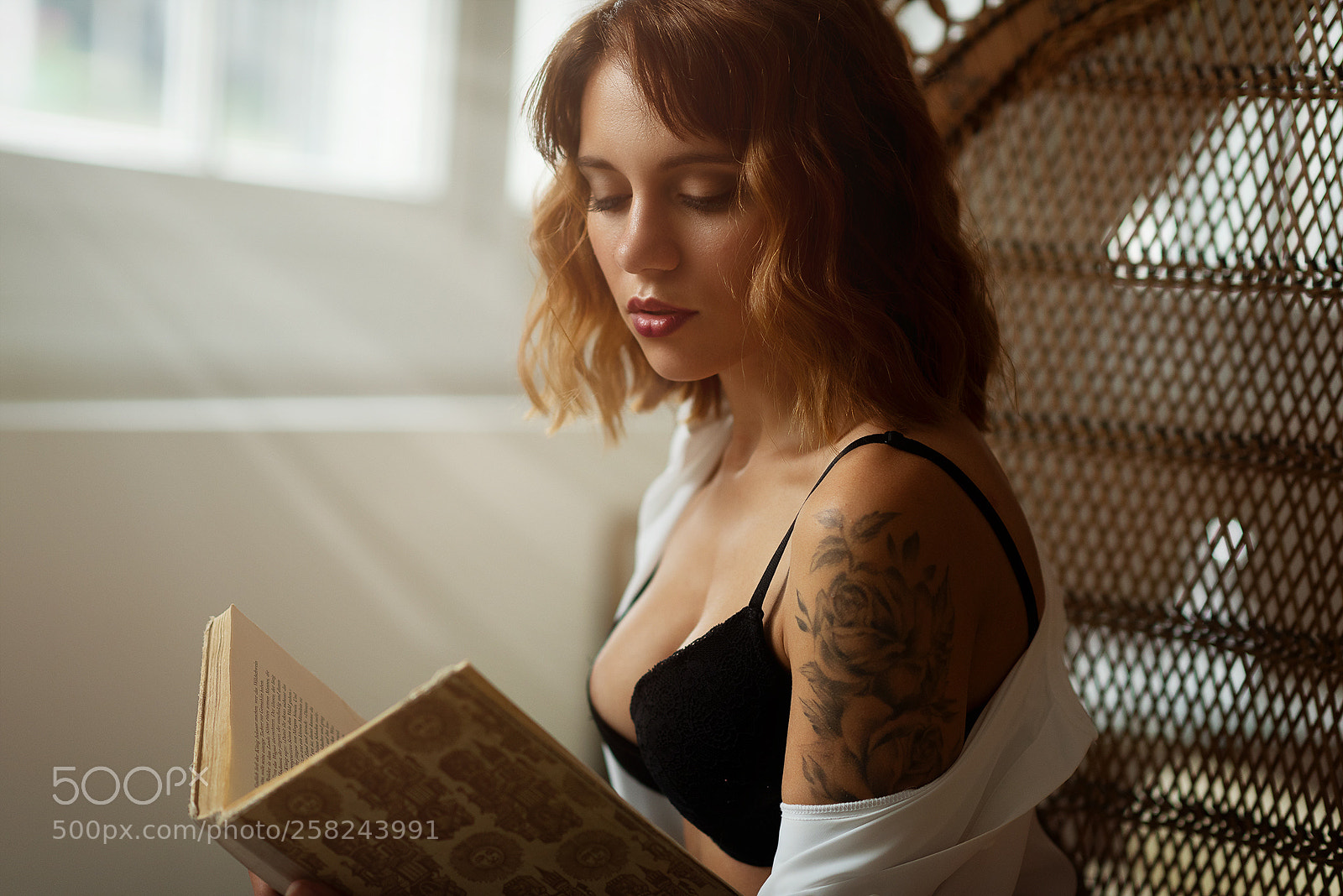Nikon D810 sample photo. Golden morning sun photography