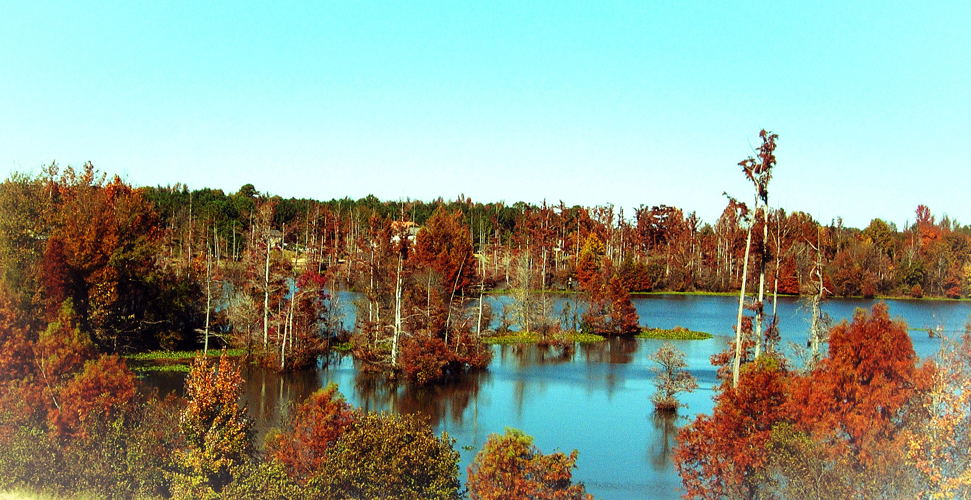 Nikon E5200 sample photo. A frame from west point, ms, usa photography