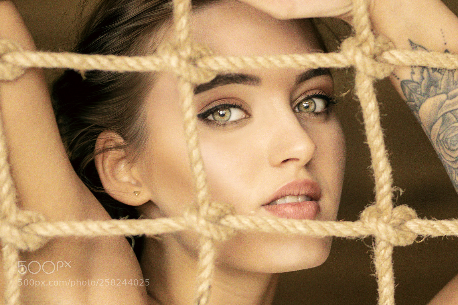 Canon EOS 5D Mark IV sample photo. In the net photography