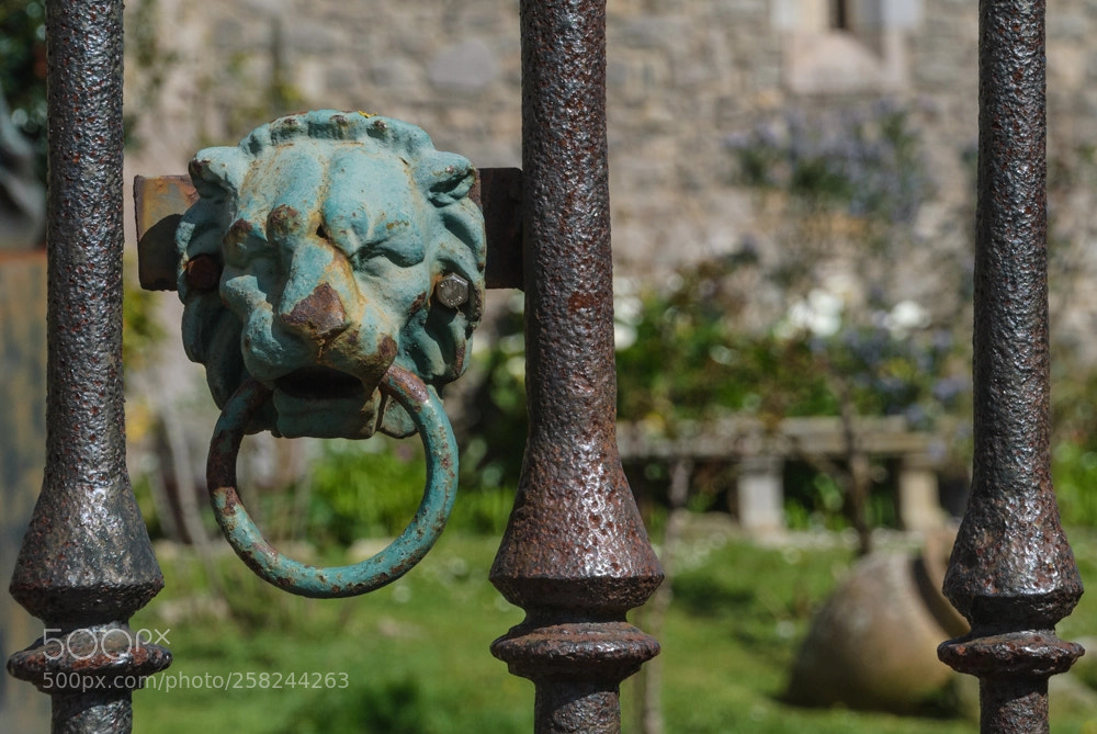 Nikon D3000 sample photo. Leon de hierro photography