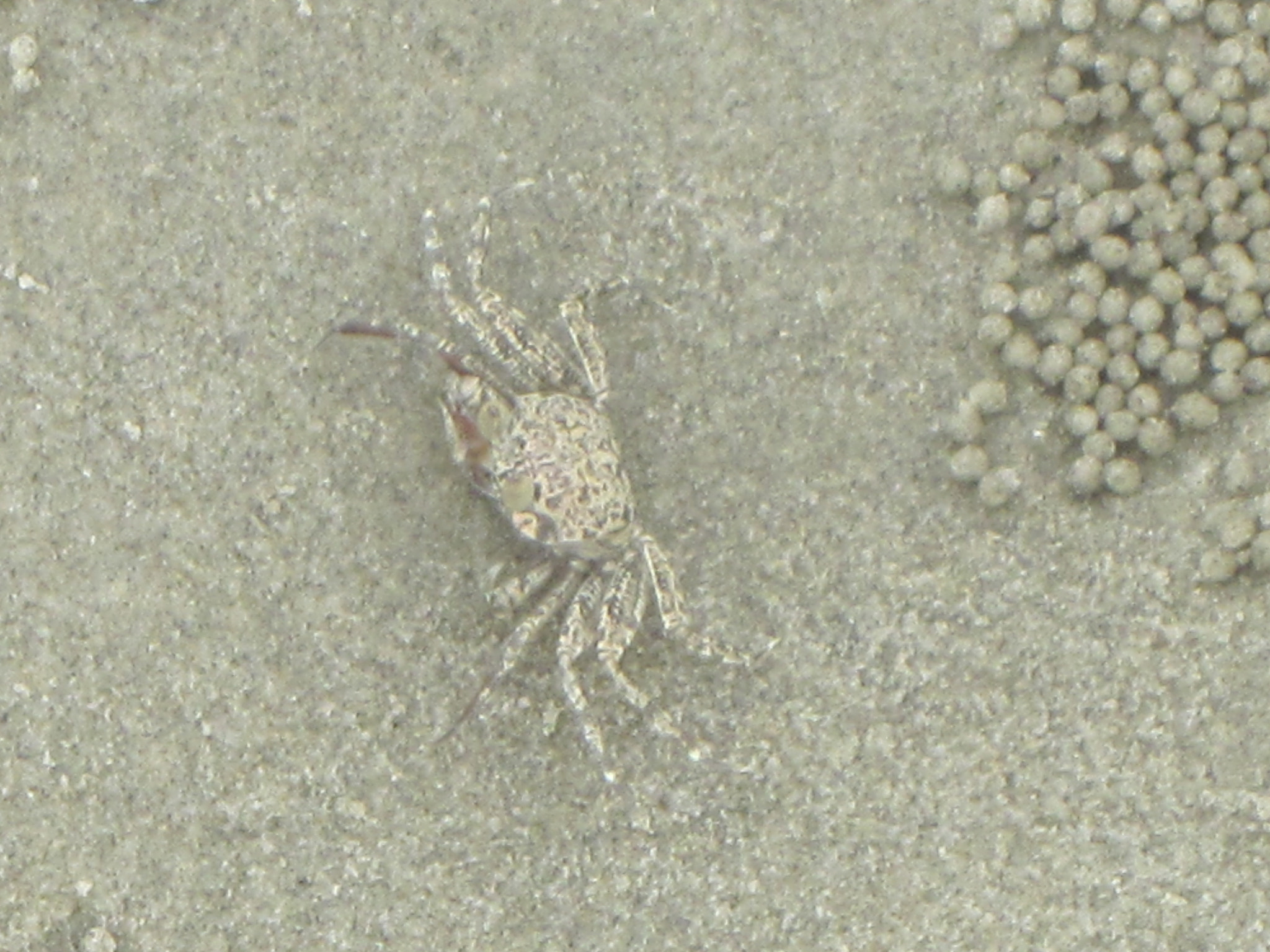 Canon PowerShot SD1300 IS (IXUS 105 / IXY 200F) sample photo. Img photography