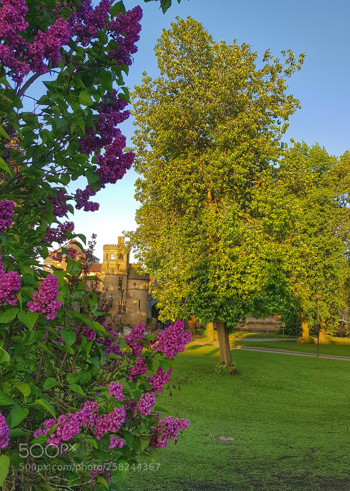 Samsung Galaxy S8+ sample photo. York photography