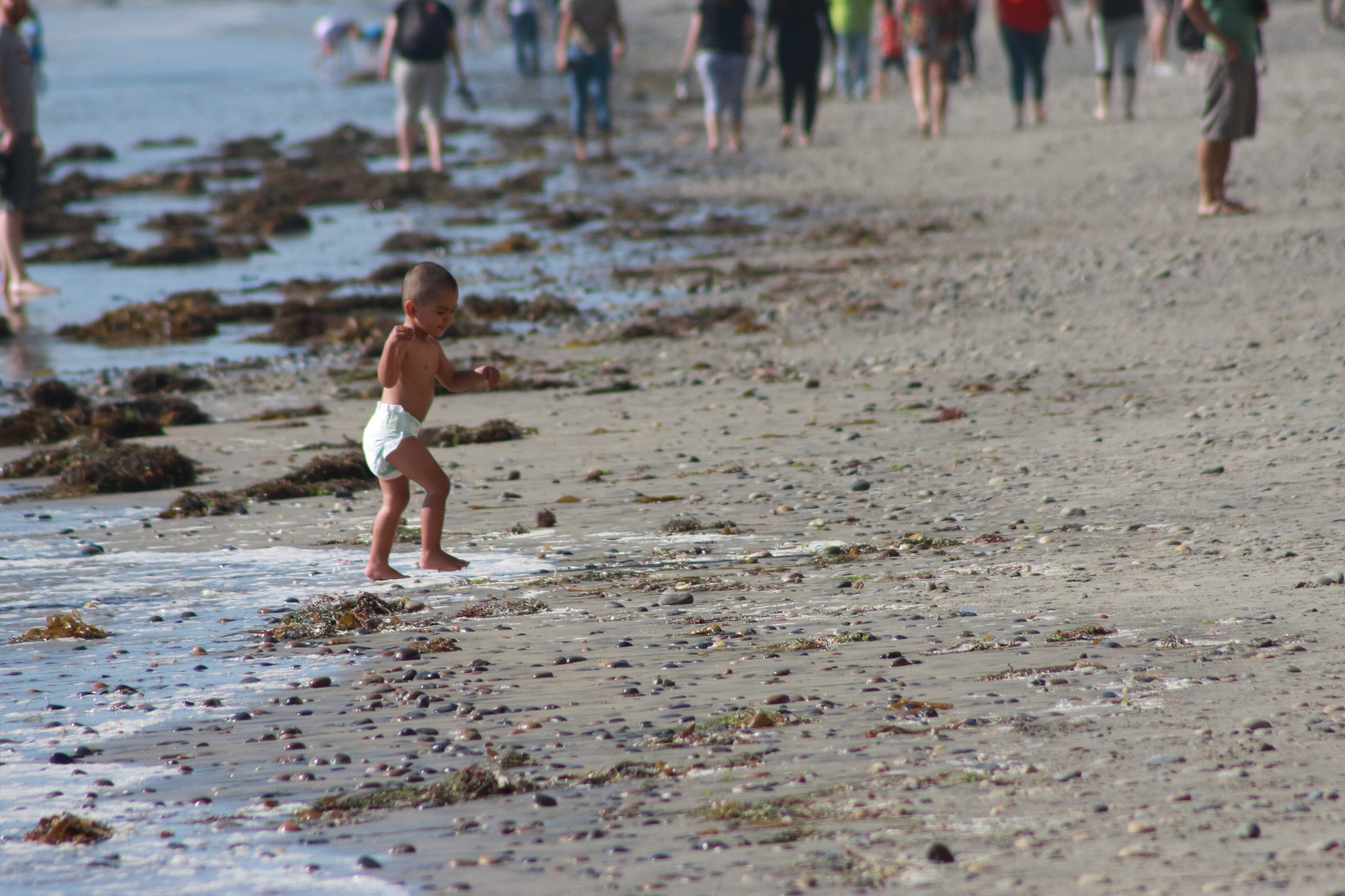 Canon EF 75-300mm f/4-5.6 sample photo. The pooper and the beach photography