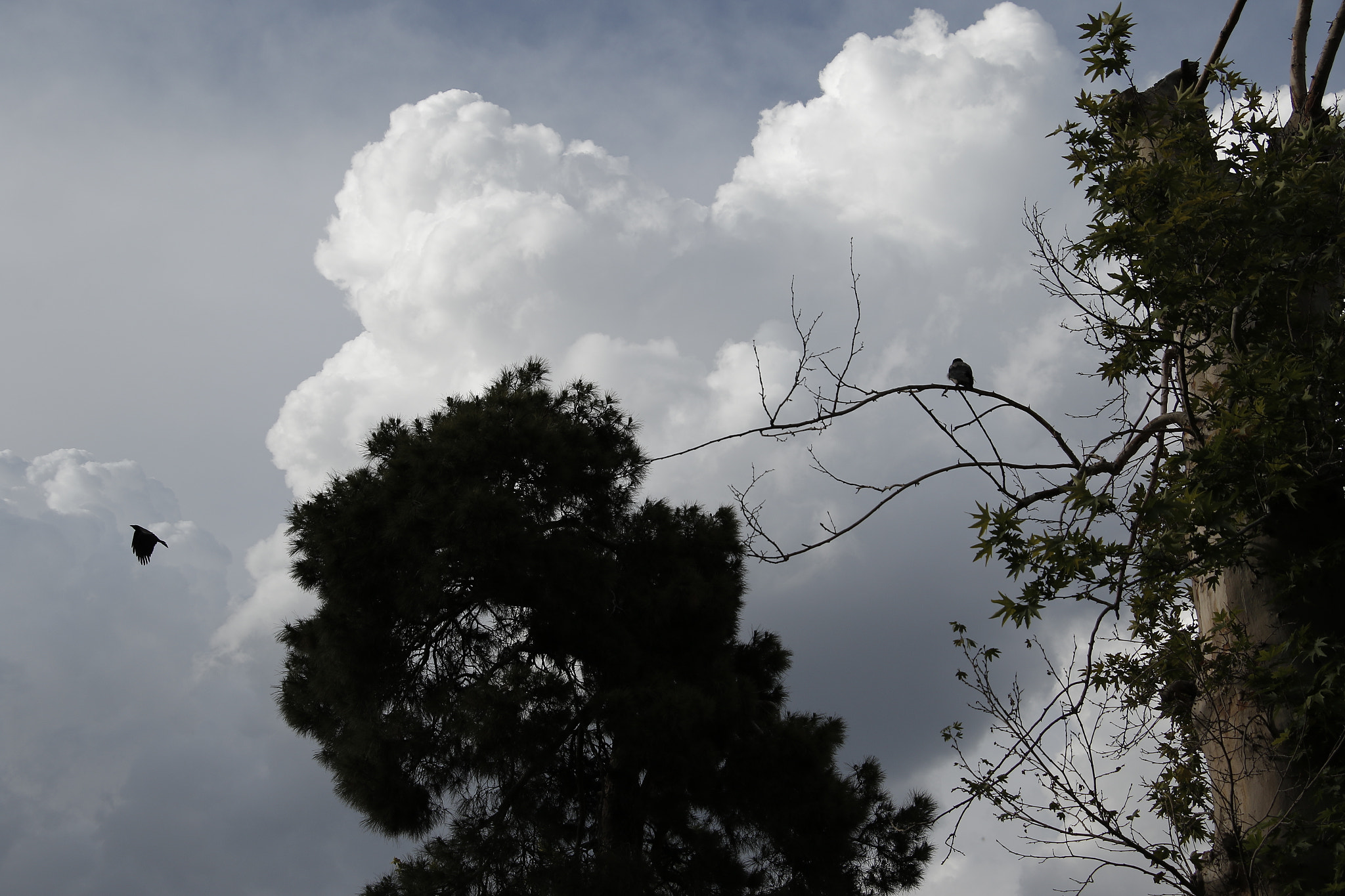 Canon EOS 7D Mark II sample photo