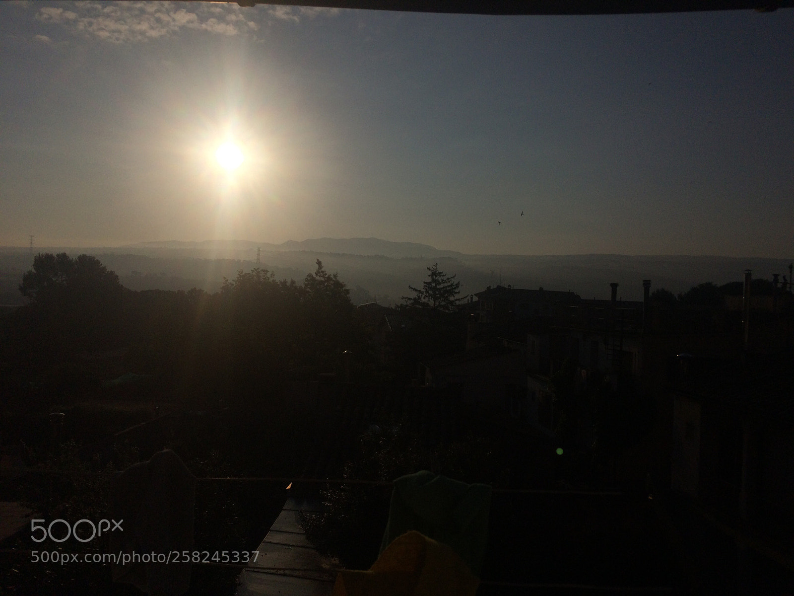 Apple iPhone 5s sample photo. Sun day... photography