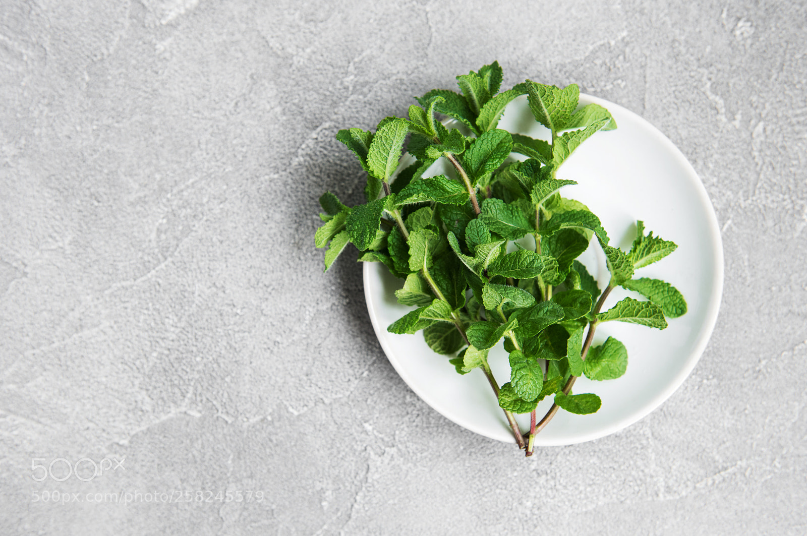 Nikon D750 sample photo. Plate with fresh mint photography