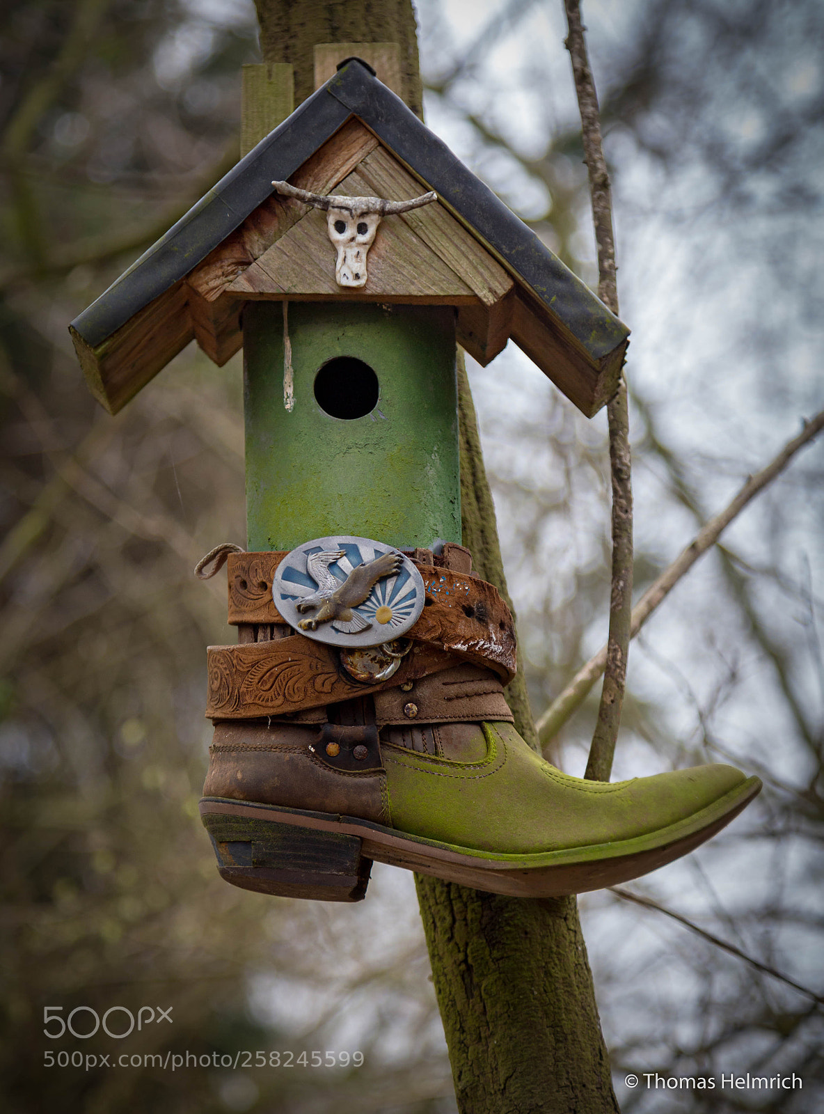 Canon EOS 6D sample photo. Vogelhaus photography
