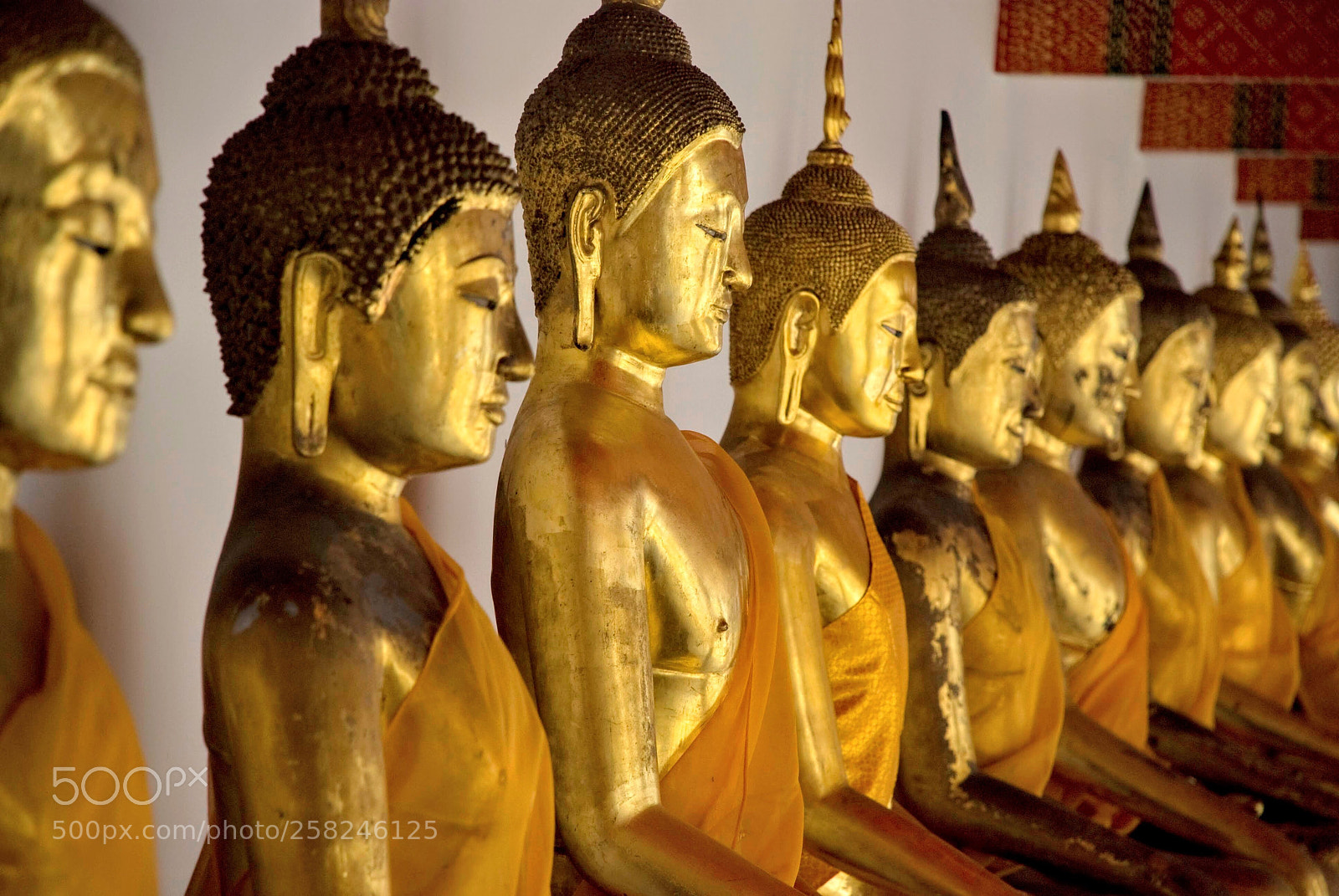 Nikon D80 sample photo. Row of golden buddhas photography