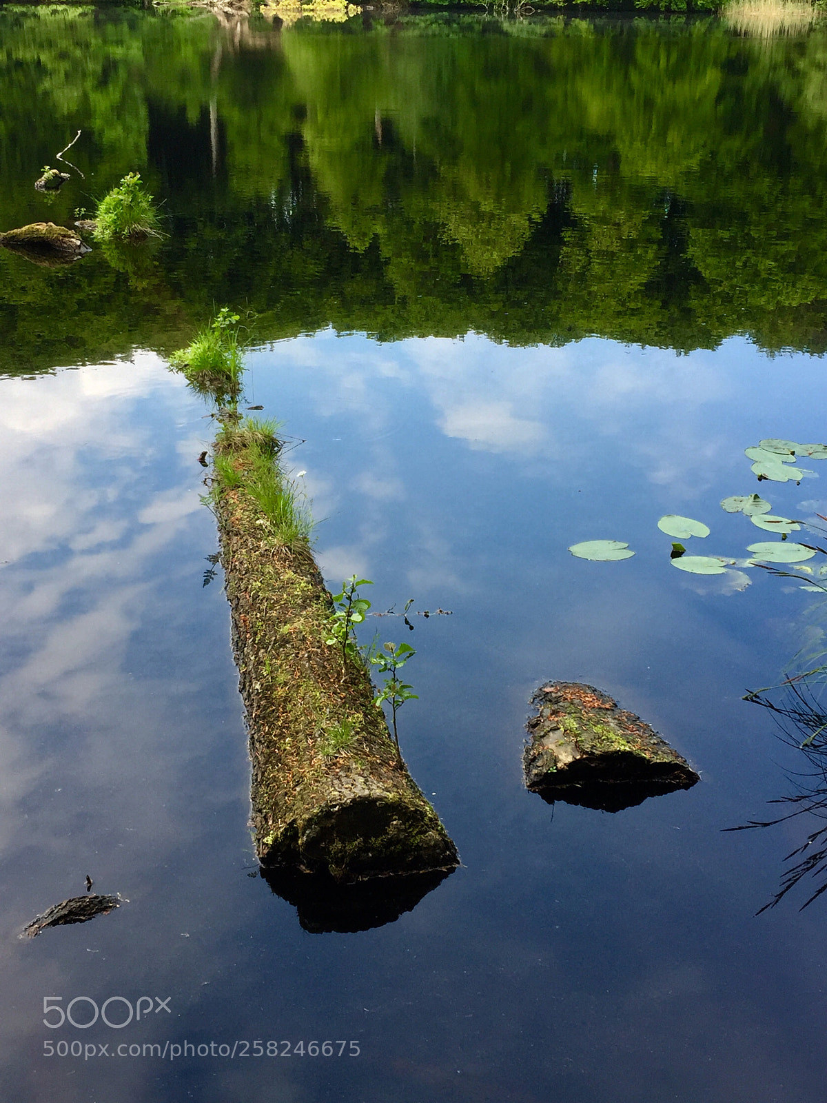 Apple iPhone 6 sample photo. Jasmund nationalpark photography