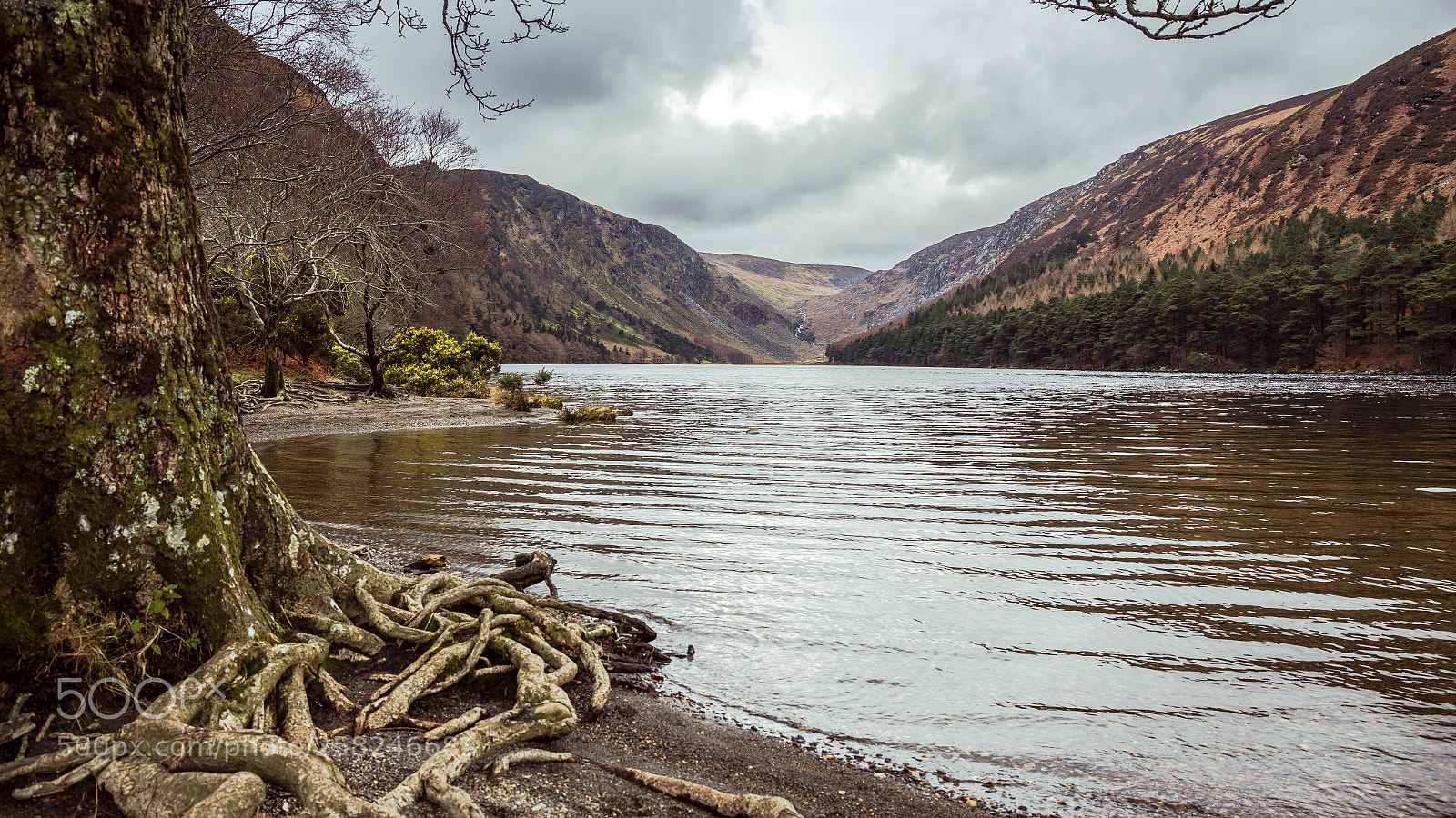Canon EOS 6D sample photo. Glendalough photography