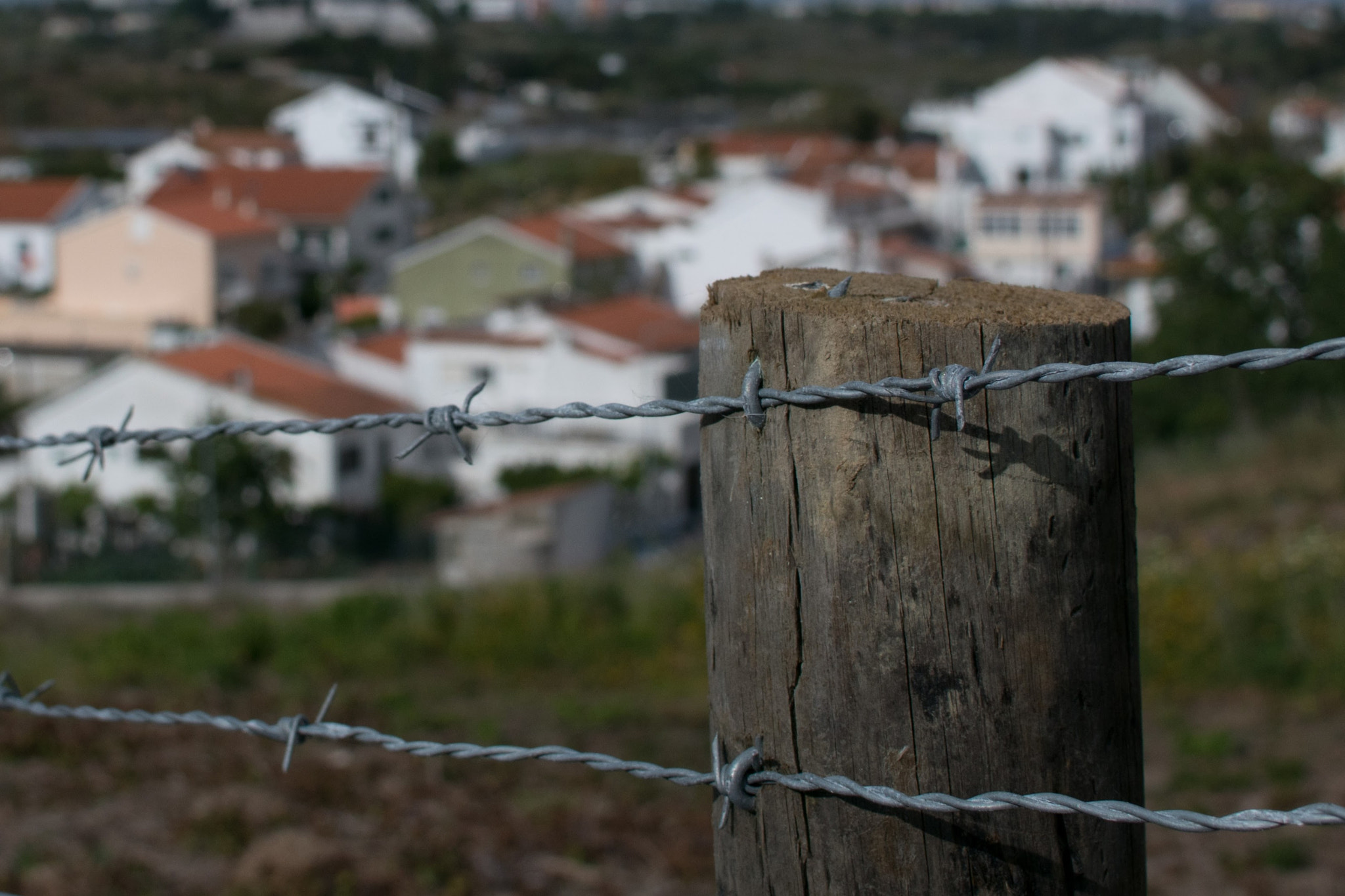 Nikon 1 J5 sample photo. Forbidden road photography