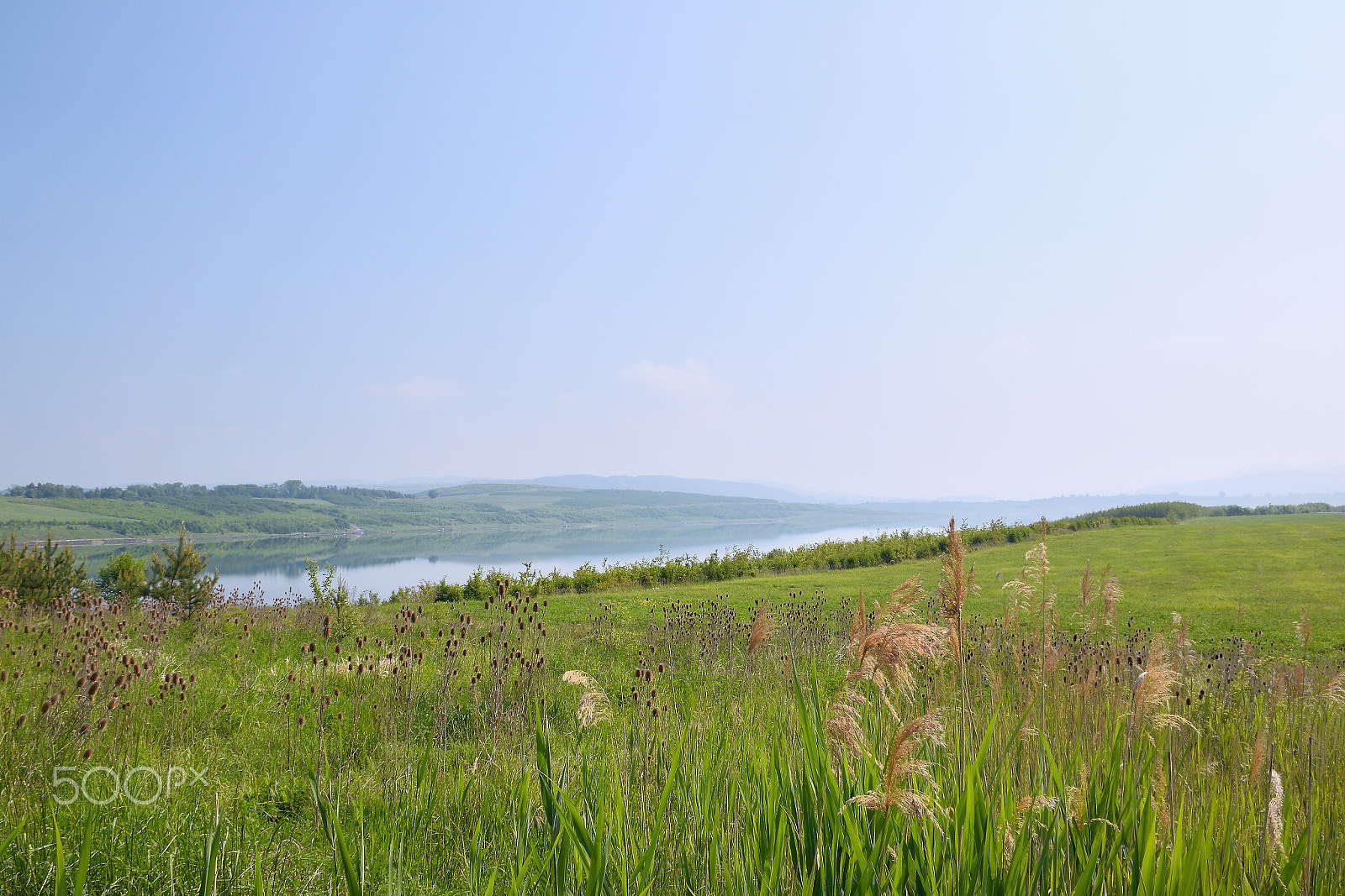 Nikon D5300 sample photo. Czech landscape with flowering meadow, new lake named milada and mountains in spring photography
