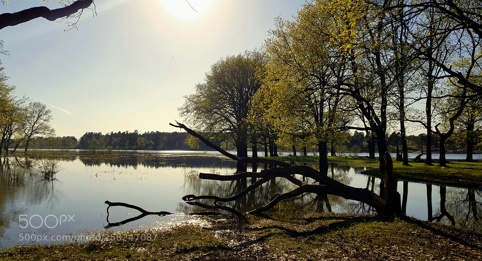 Samsung Galaxy S8+ sample photo. Springtime photography