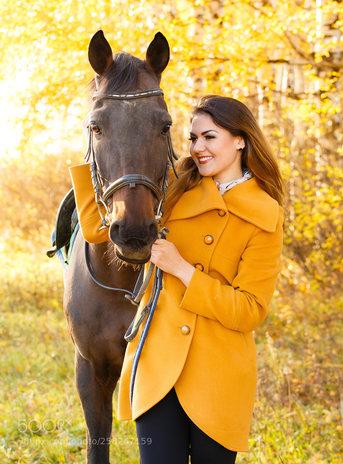 Canon EOS 6D sample photo. Golden autumn photography