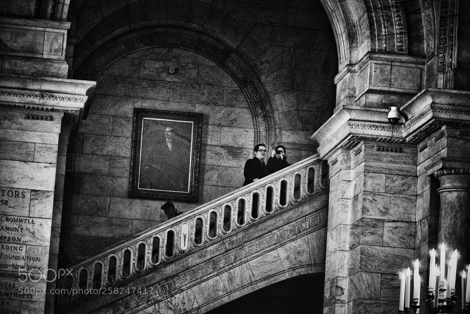 Nikon D810 sample photo. New york public library photography