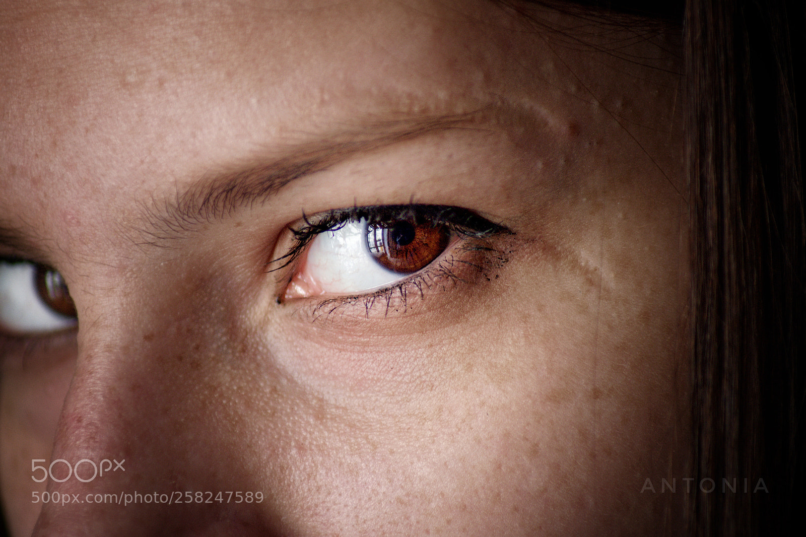 Nikon D7200 sample photo. Untitled photography