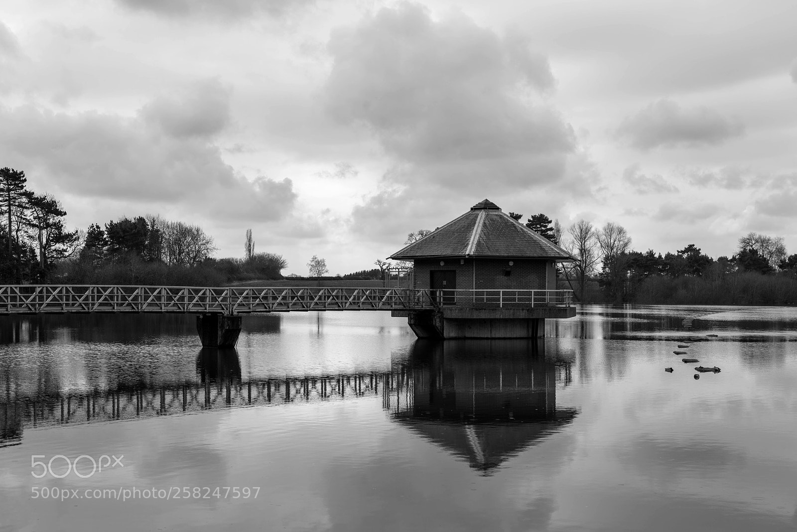 Nikon D810 sample photo. Untitled photography
