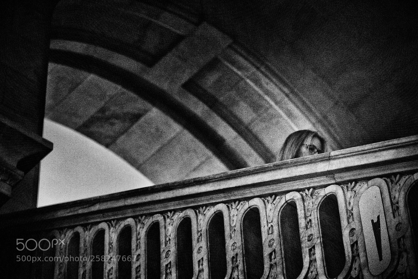 Nikon D810 sample photo. New york public library photography