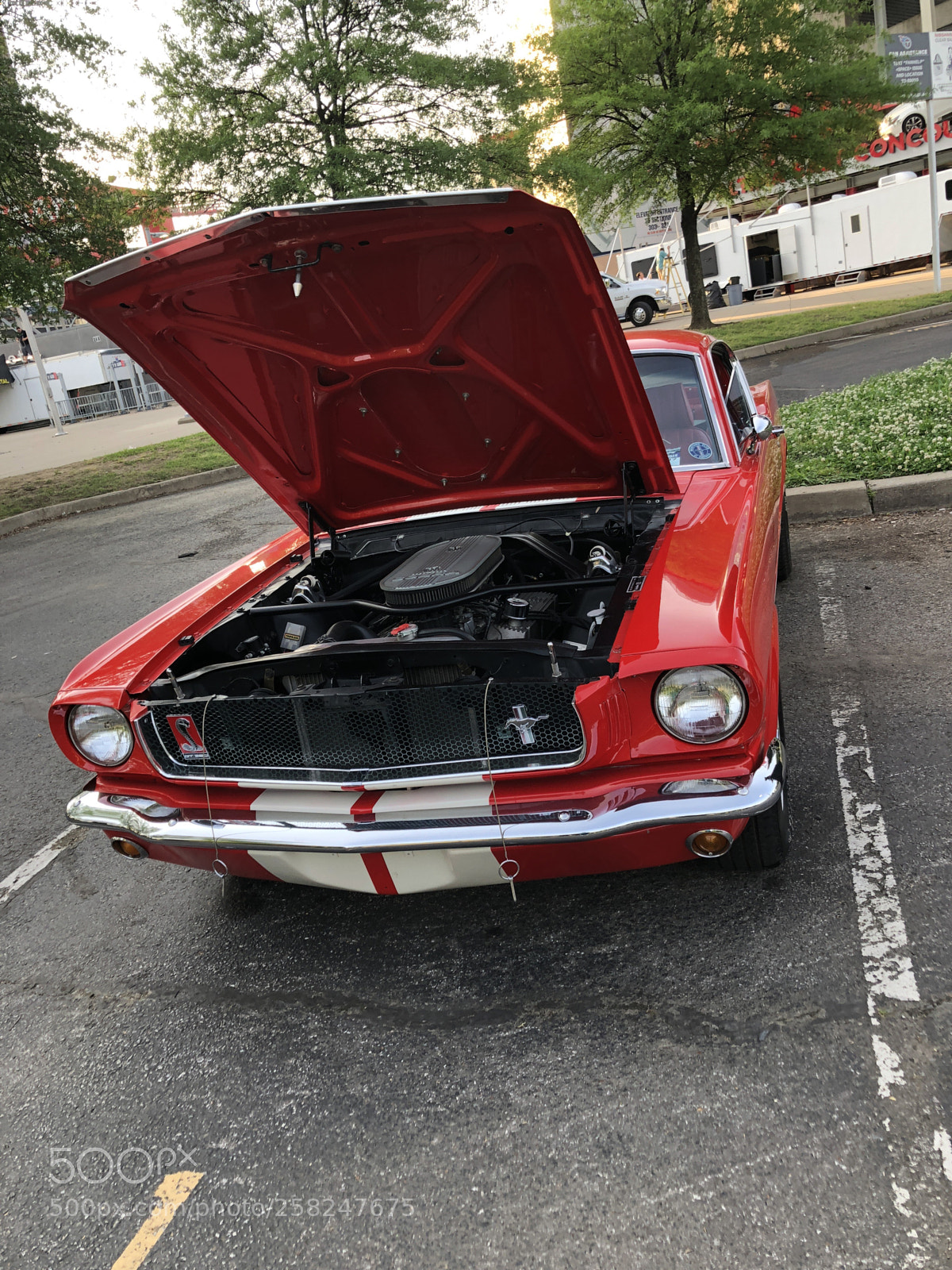 Apple iPhone 8 Plus sample photo. Mustang❤️ photography