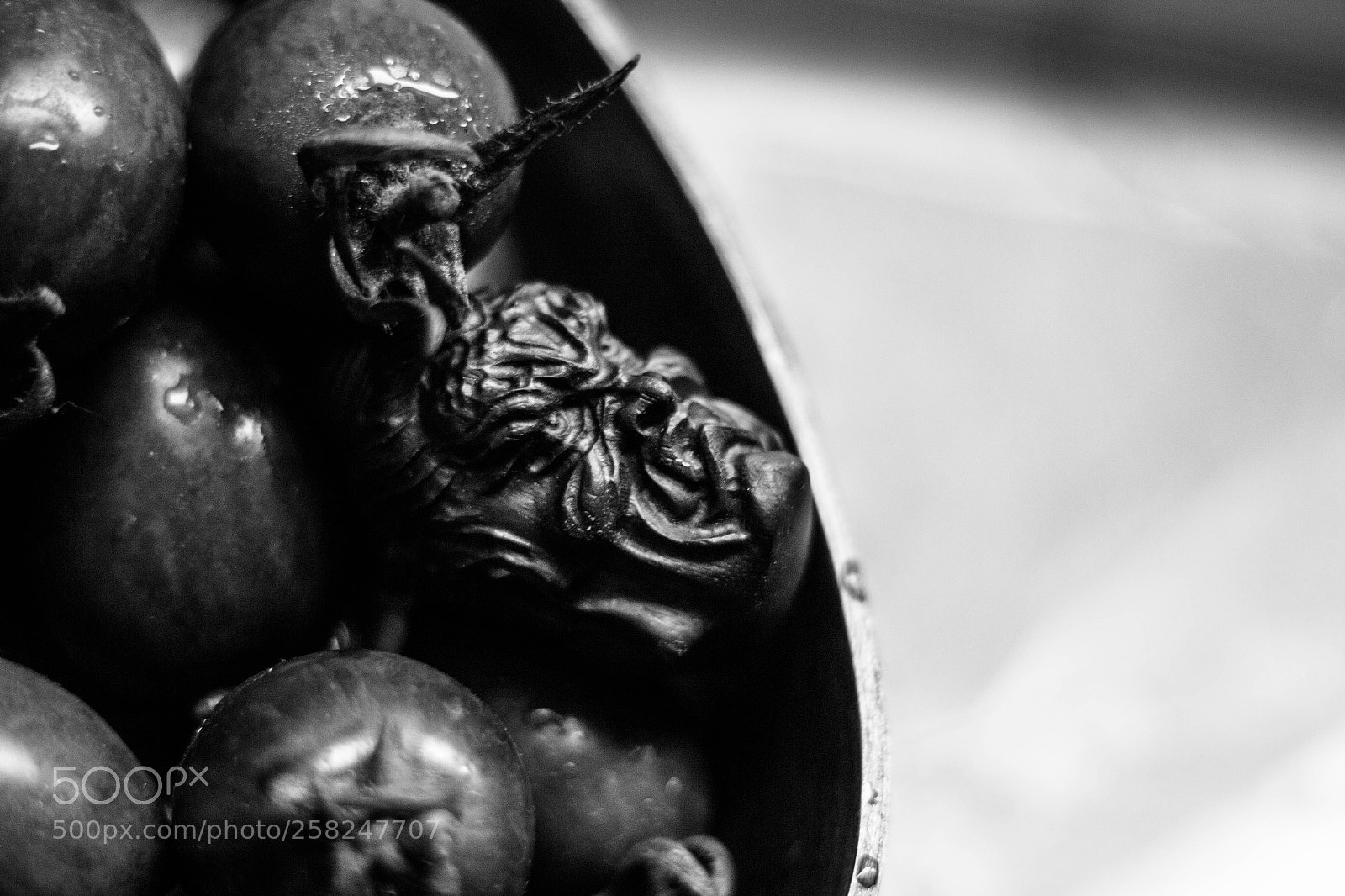 Canon EOS 70D sample photo. Untitled photography