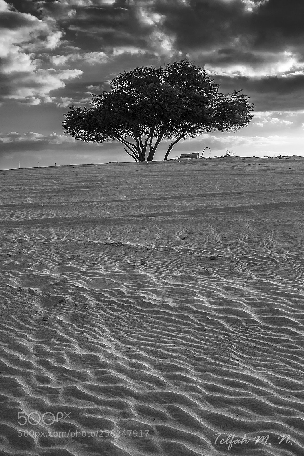 Canon EOS 80D sample photo. Desert beauty photography