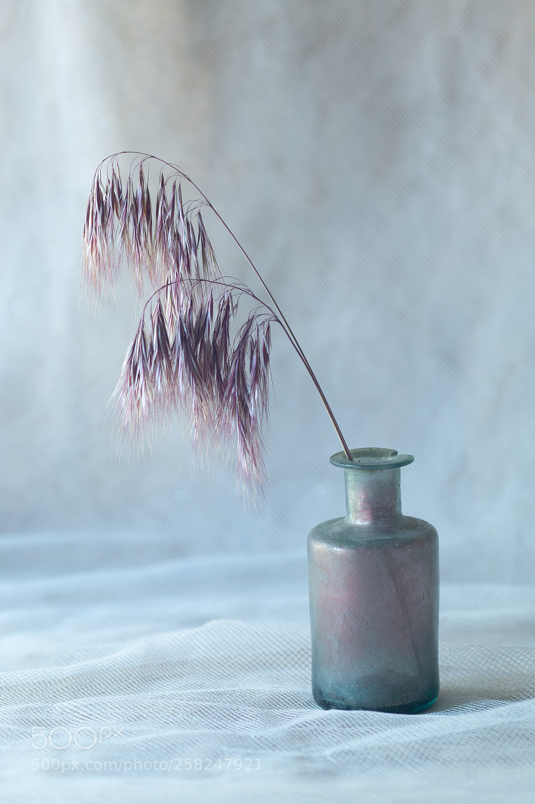 Canon EOS 70D sample photo. Un pequeño frasco. photography