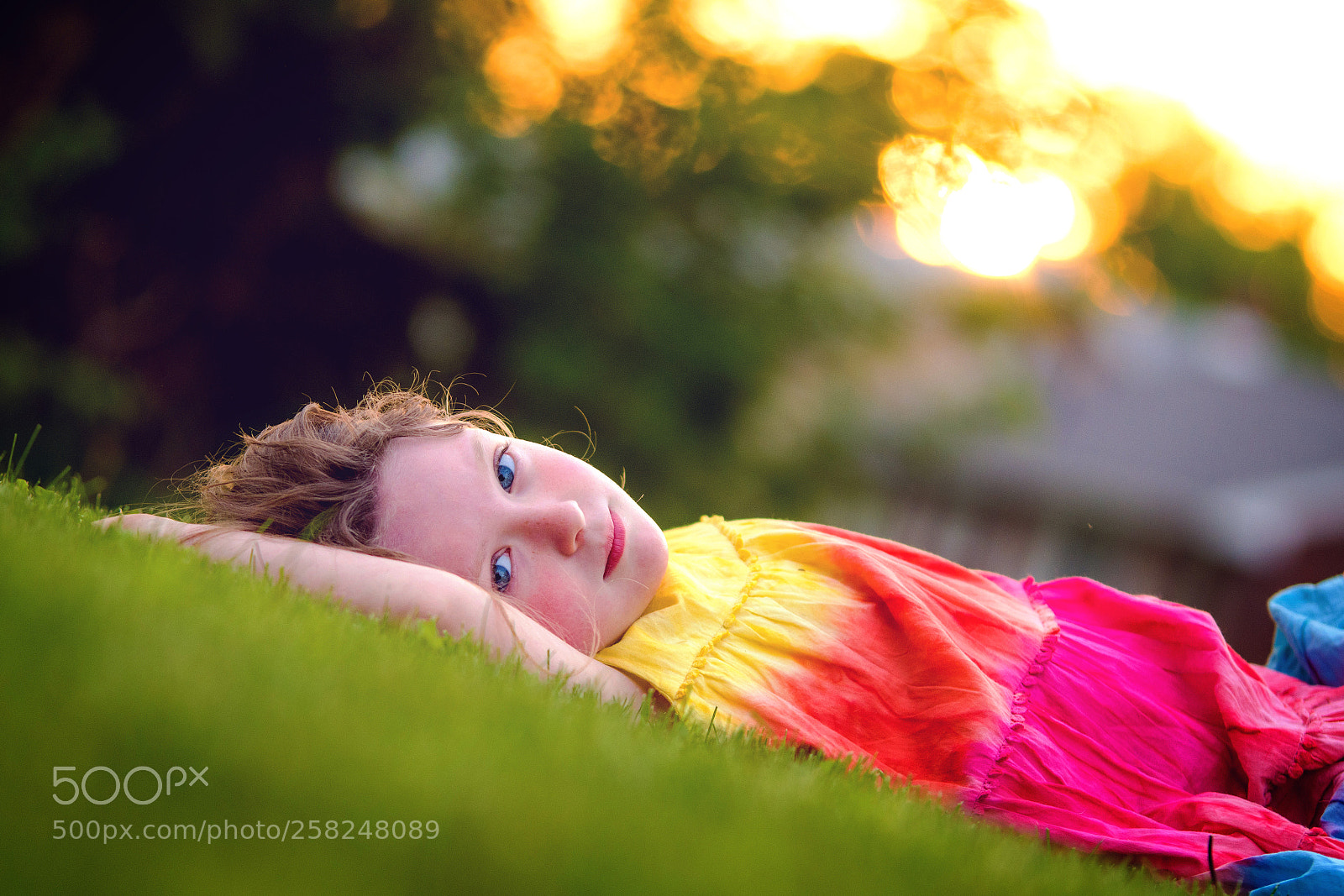 Nikon D500 sample photo. Laying down photography
