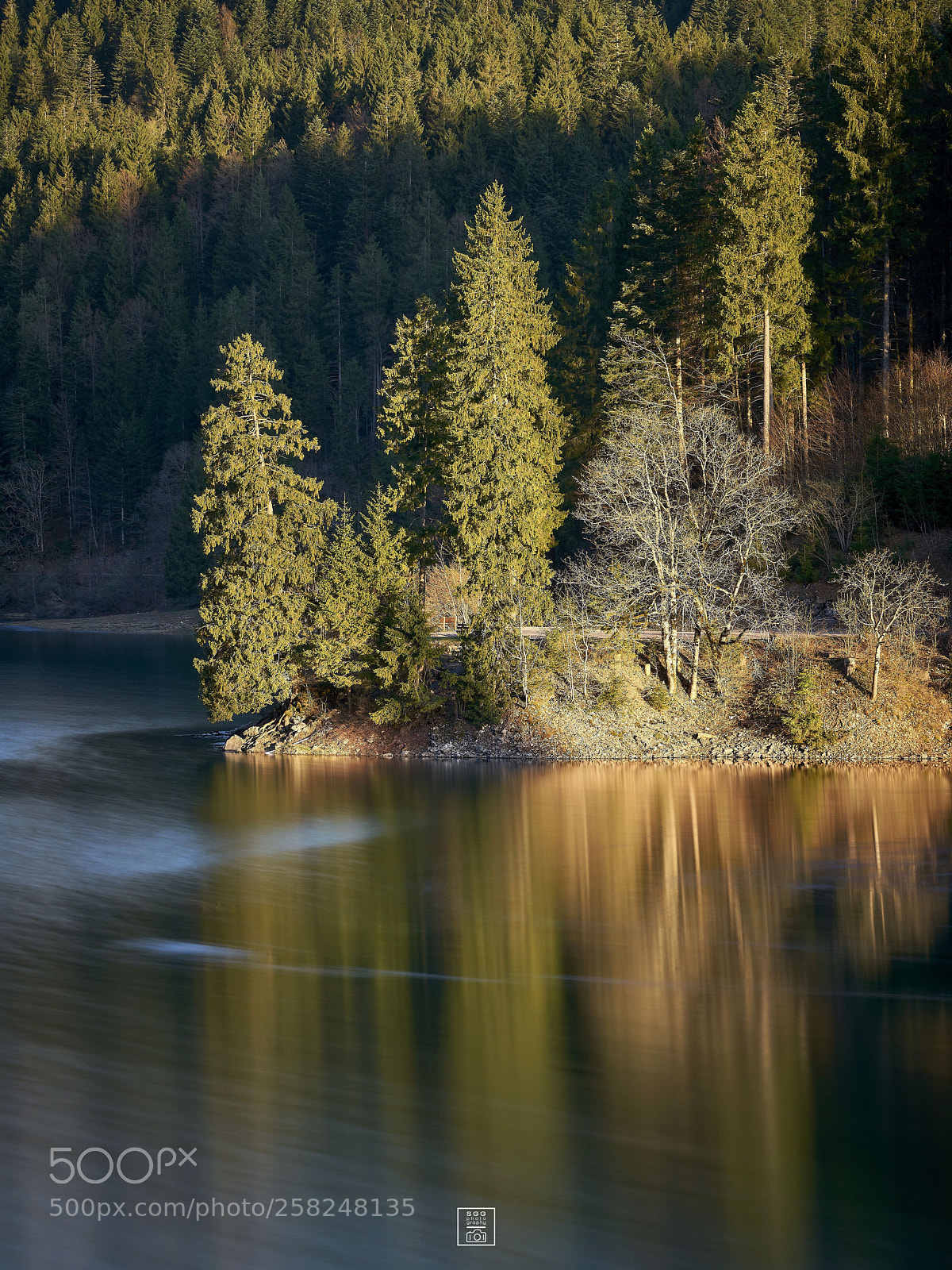 Sony a7R II sample photo. Morning reach photography