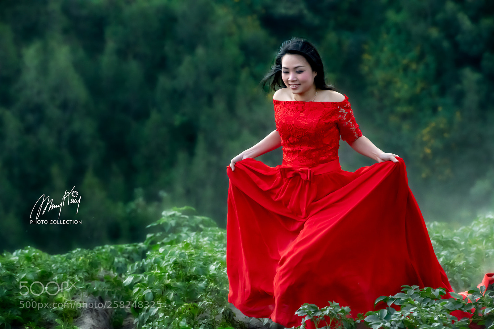 Nikon D850 sample photo. Care free moment photography
