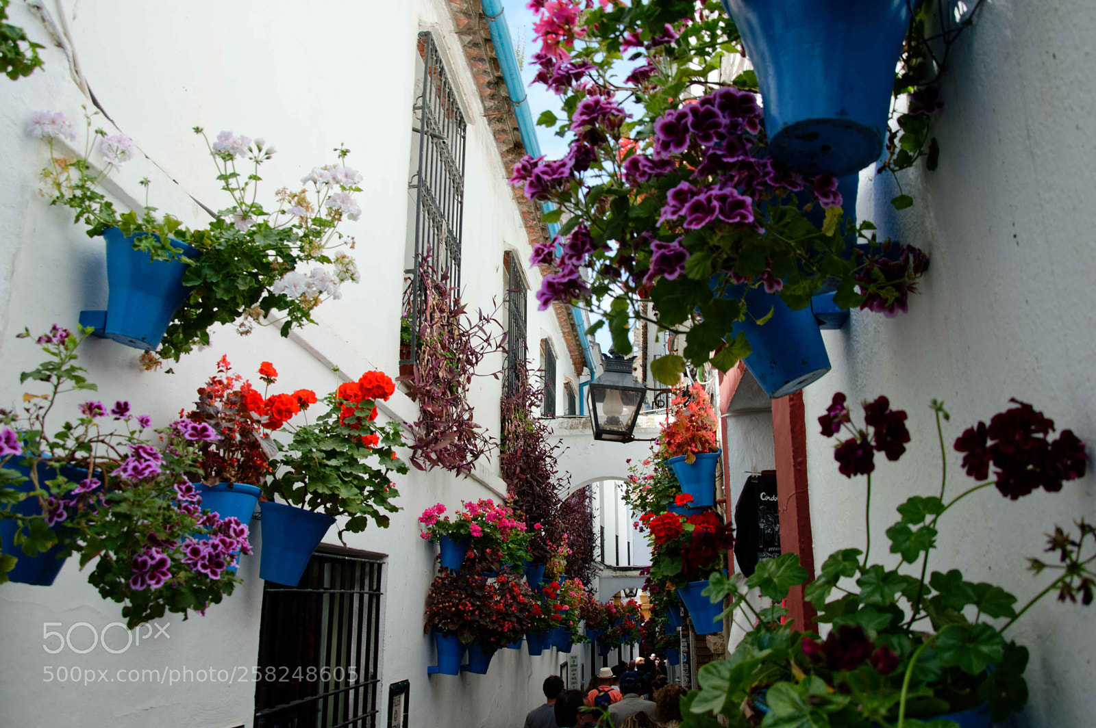 Nikon D3200 sample photo. Cordoba photography