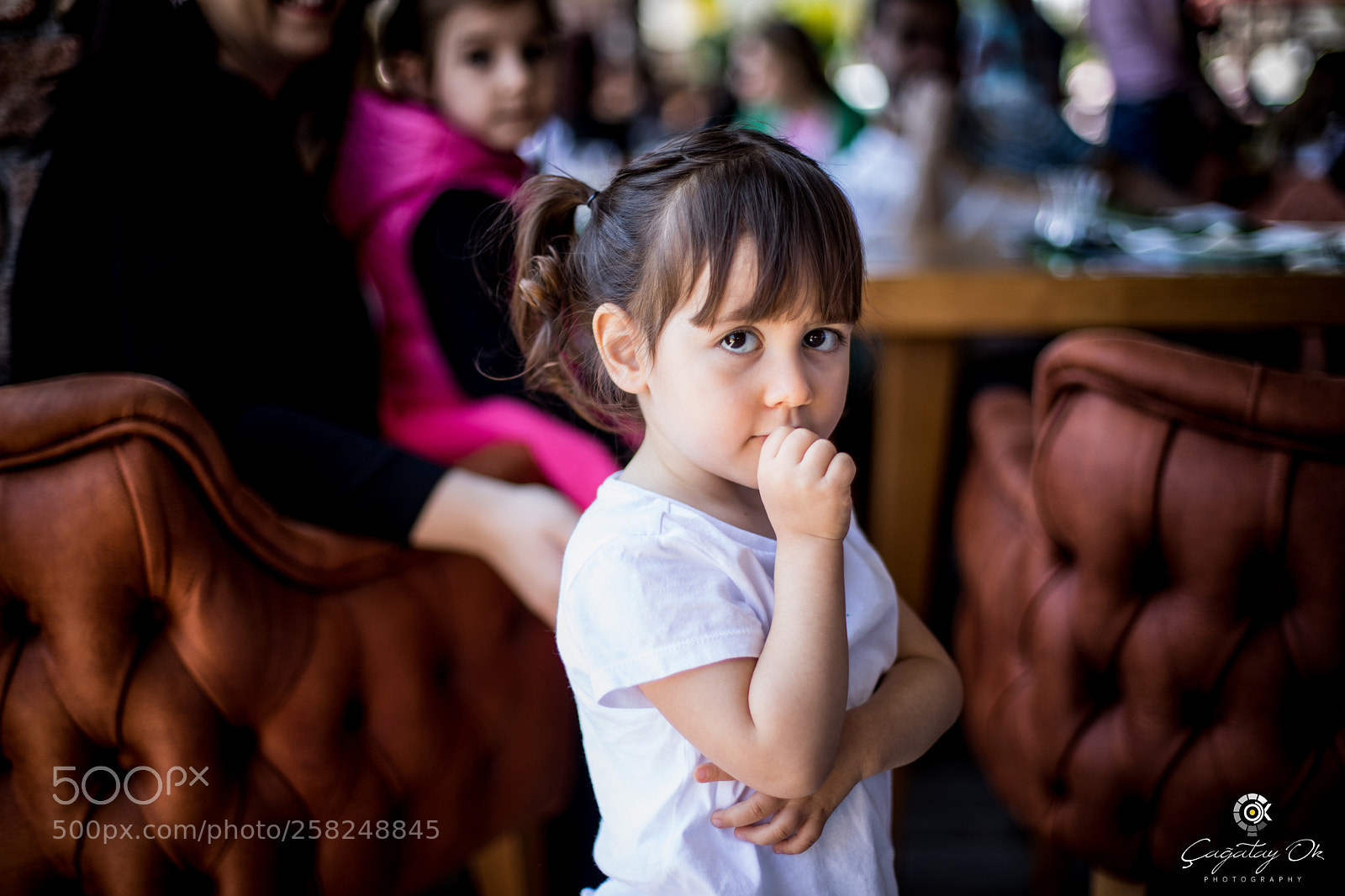 Canon EOS 5D Mark IV sample photo. Bilge photography