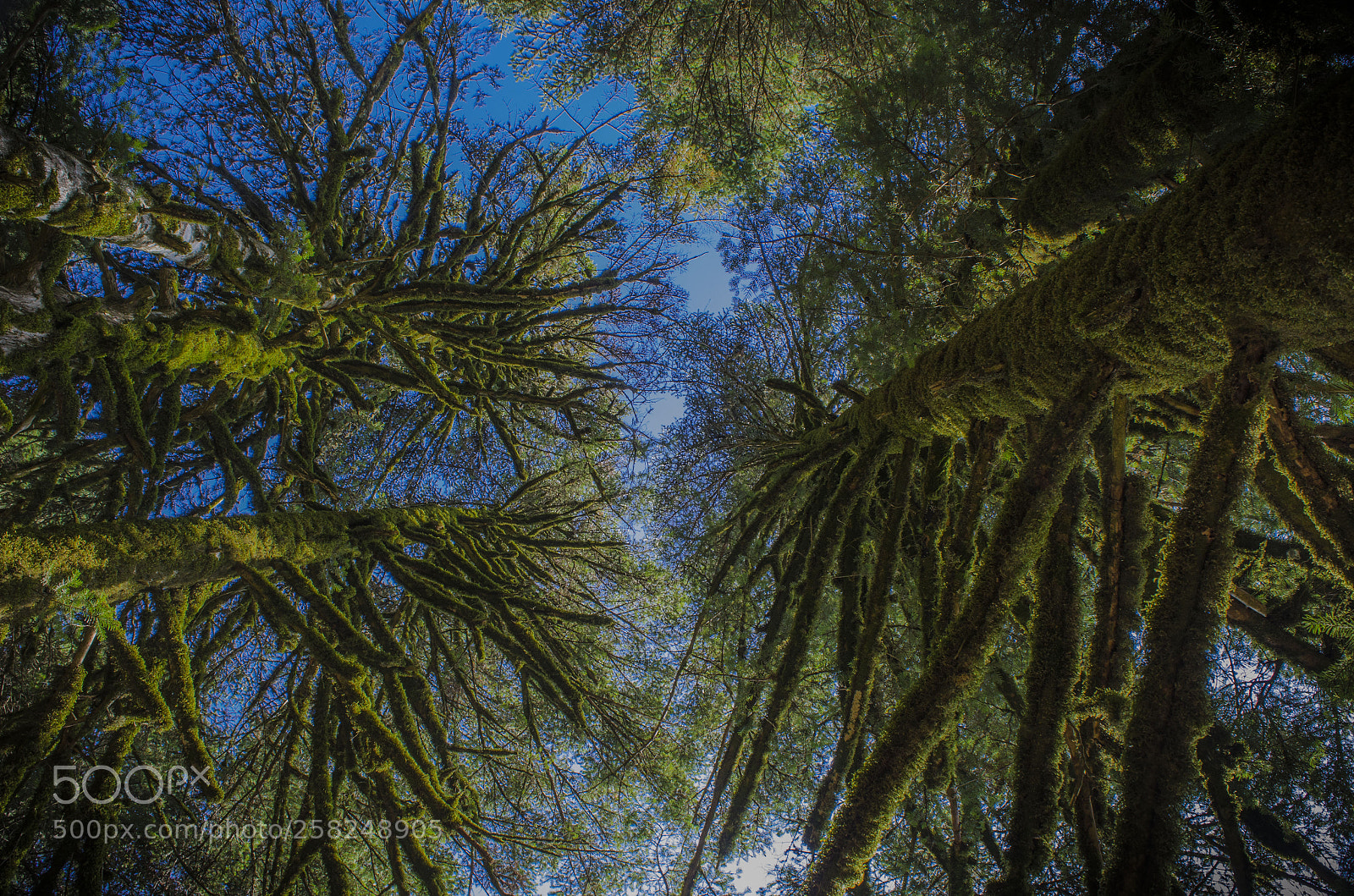 Nikon D7000 sample photo. Blue sky photography