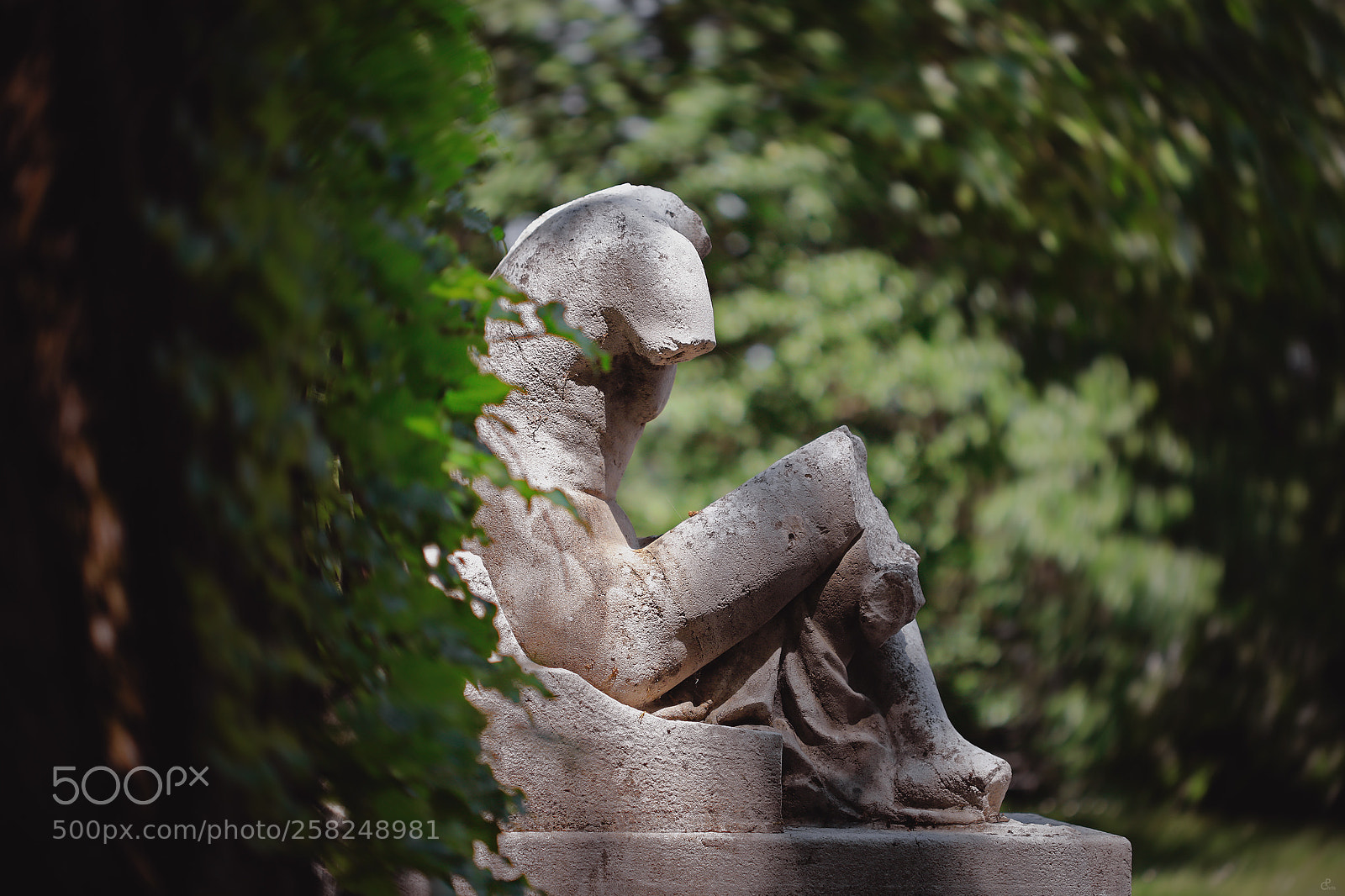 Canon EOS 5D Mark IV sample photo. Headless... photography