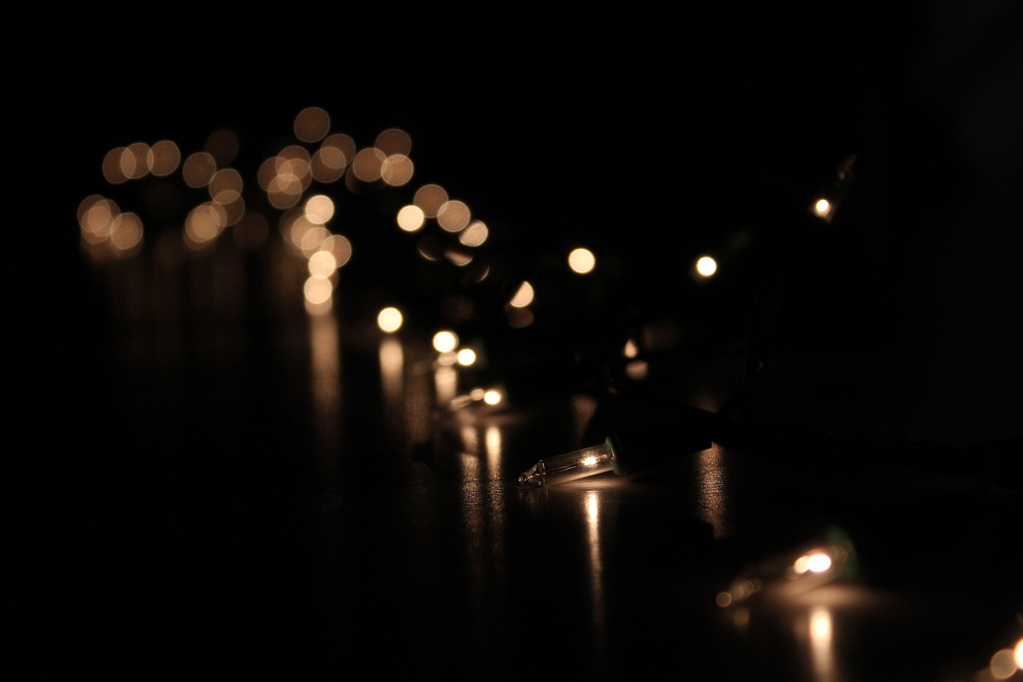 Canon EOS 650D (EOS Rebel T4i / EOS Kiss X6i) sample photo. Bokeh photography