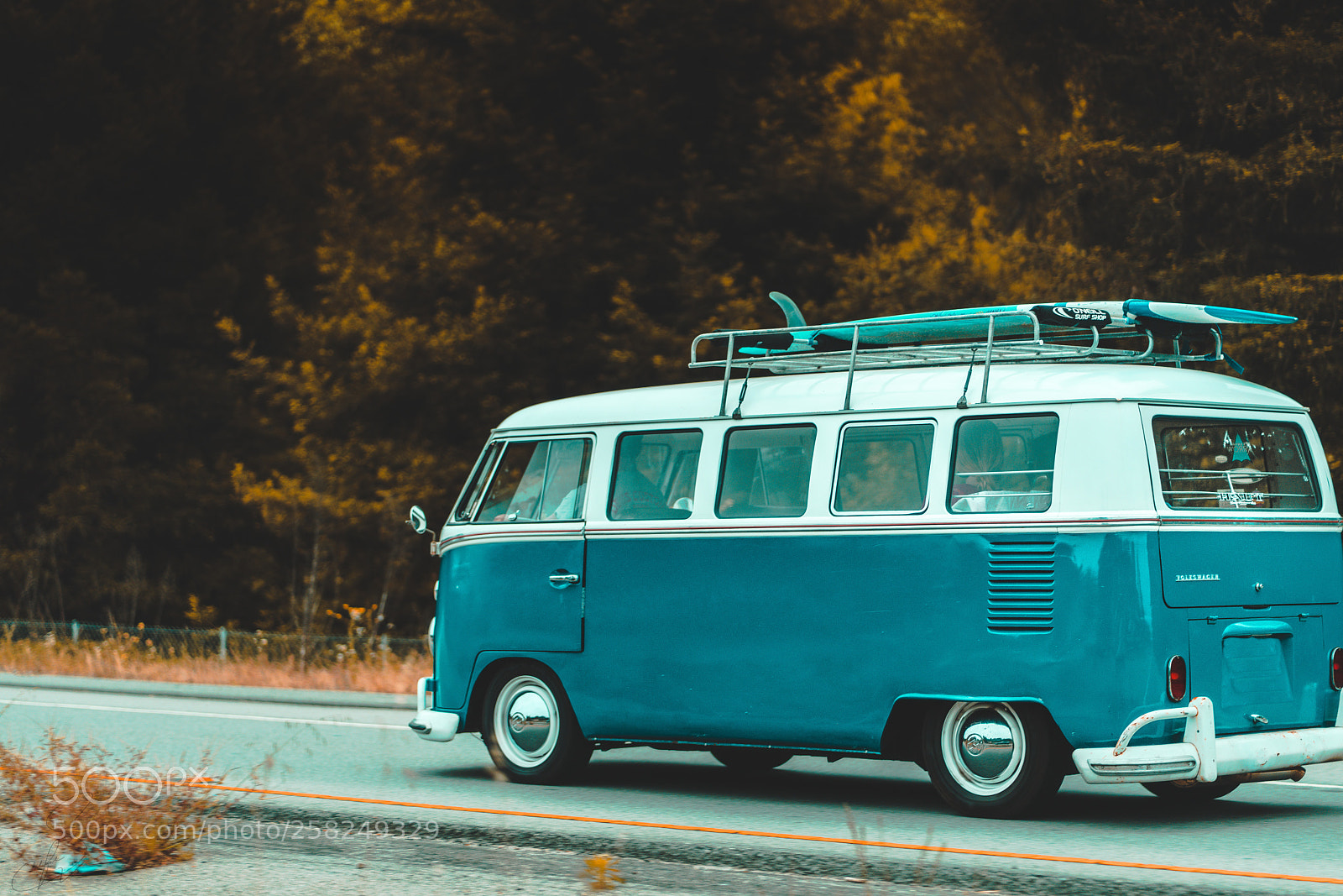 Sony a7R II sample photo. Untitled photography