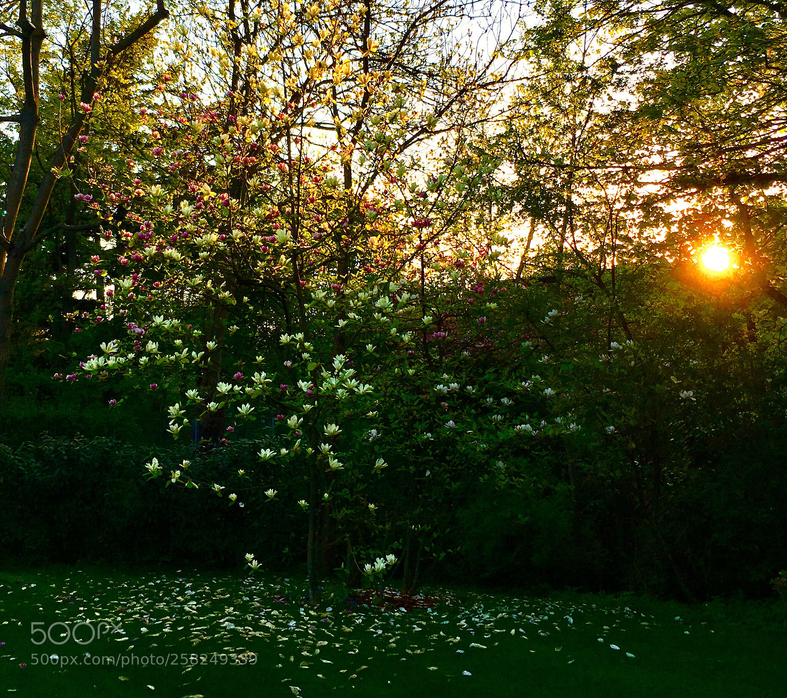 Apple iPhone SE sample photo. Sundown photography